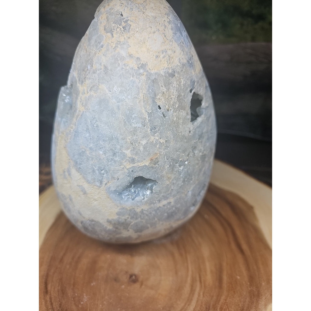 Large Baby Blue Celestite Geode Cluster — 13.6 lbs, 8 inches, Brazil | CrystalCloud Company by CrystalCloud Company