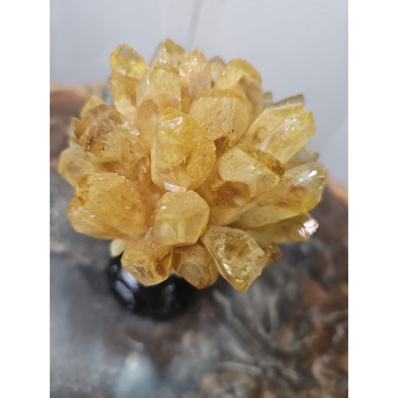1.12LB Yellow Phantom Quartz Crystal Cluster Mineral Specimen W/Stand by CrystalCloud Company
