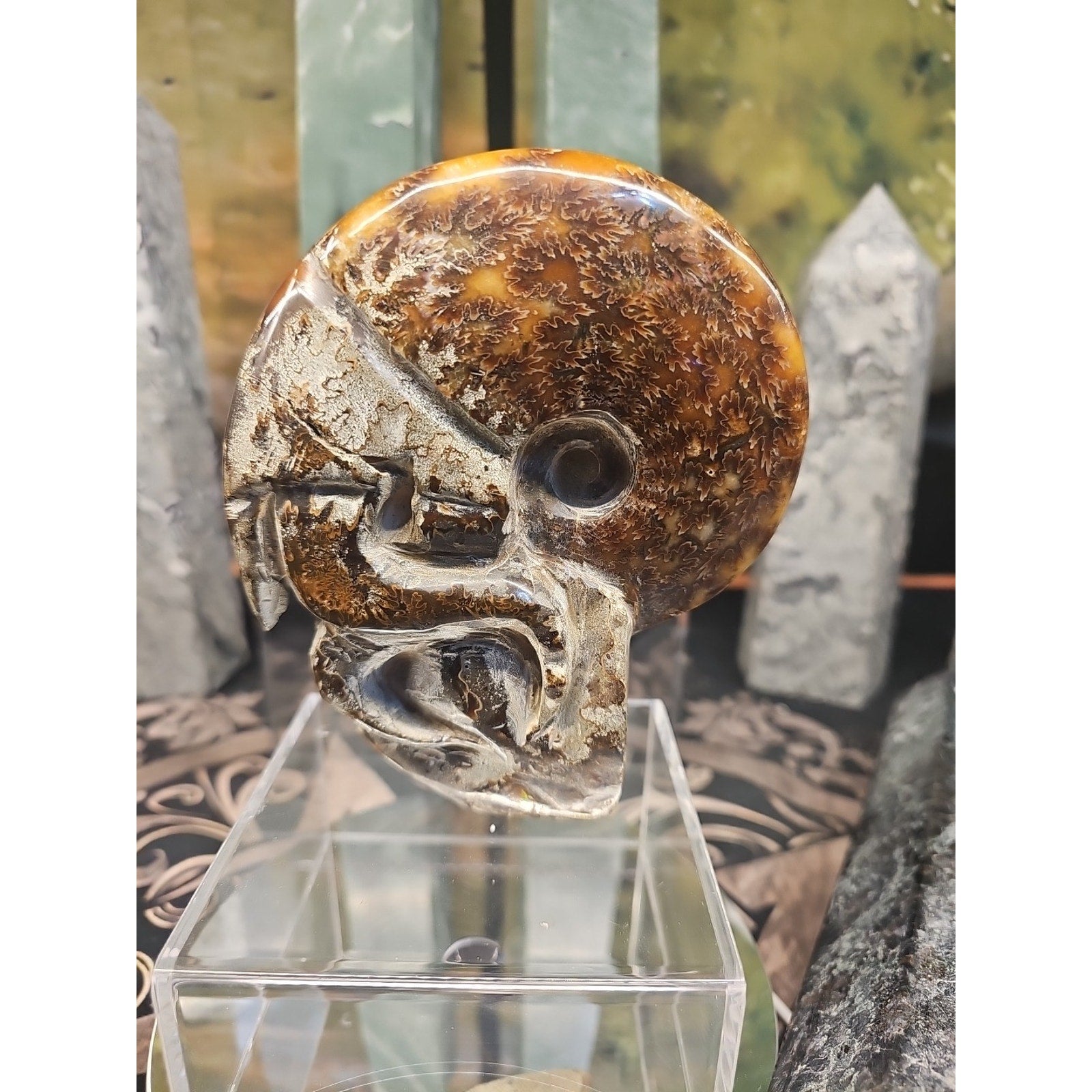 1.26LB Rare! Natural Tentacle Ammonite FossilSpecimen Shell Healing Madagascar by CrystalCloud Company