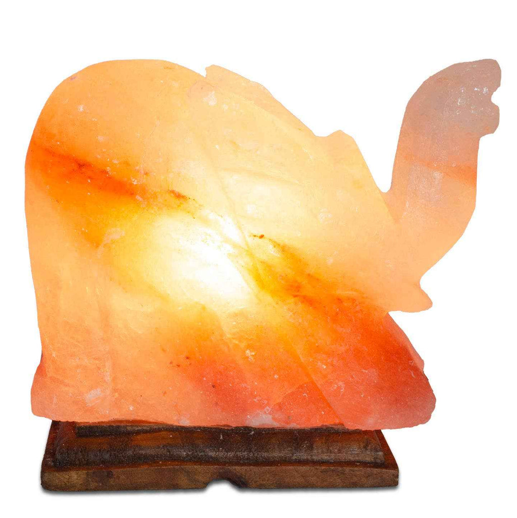 Elephant Shaped Salt Lamp - 9" avg. - Cord, Bulb, Dimmer by Sacred Crystals