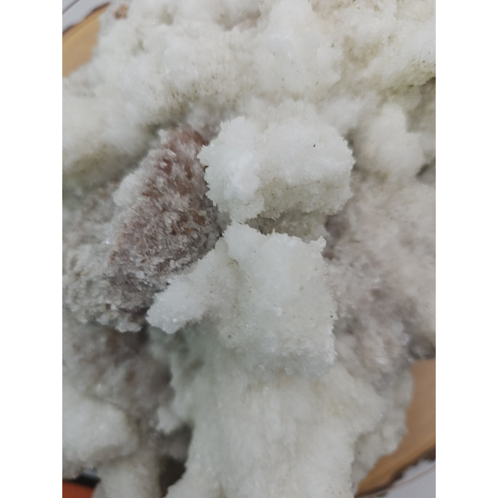 11.27LB New Find Natural Clear Selenite Gypsum Cluster Specimen by CrystalCloud Company