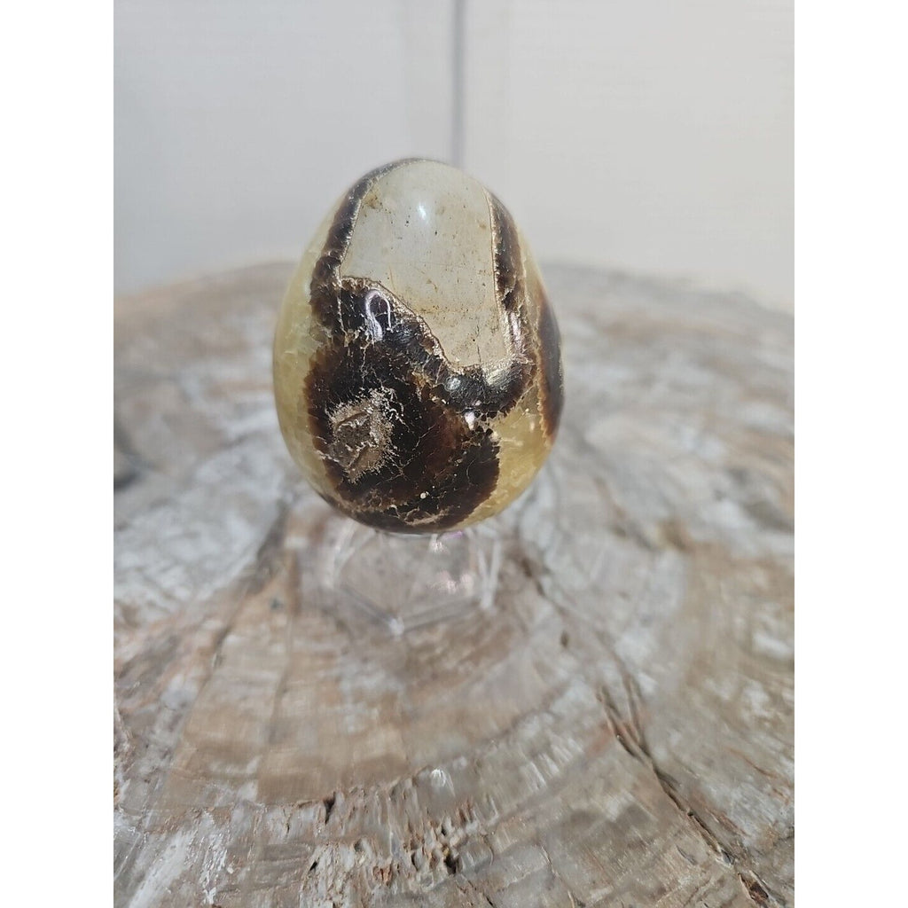 9.0oz Natural Septarian Dragon quartz Crystal egg Mineral Specimen W/Stand by CrystalCloud Company