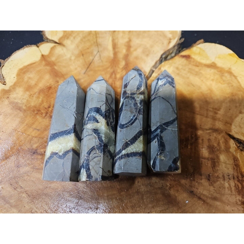 Dragon Septarian Geode Cluster Set — 1 lb, 4 Pieces from Madagascar | CrystalCloud Company by CrystalCloud Company