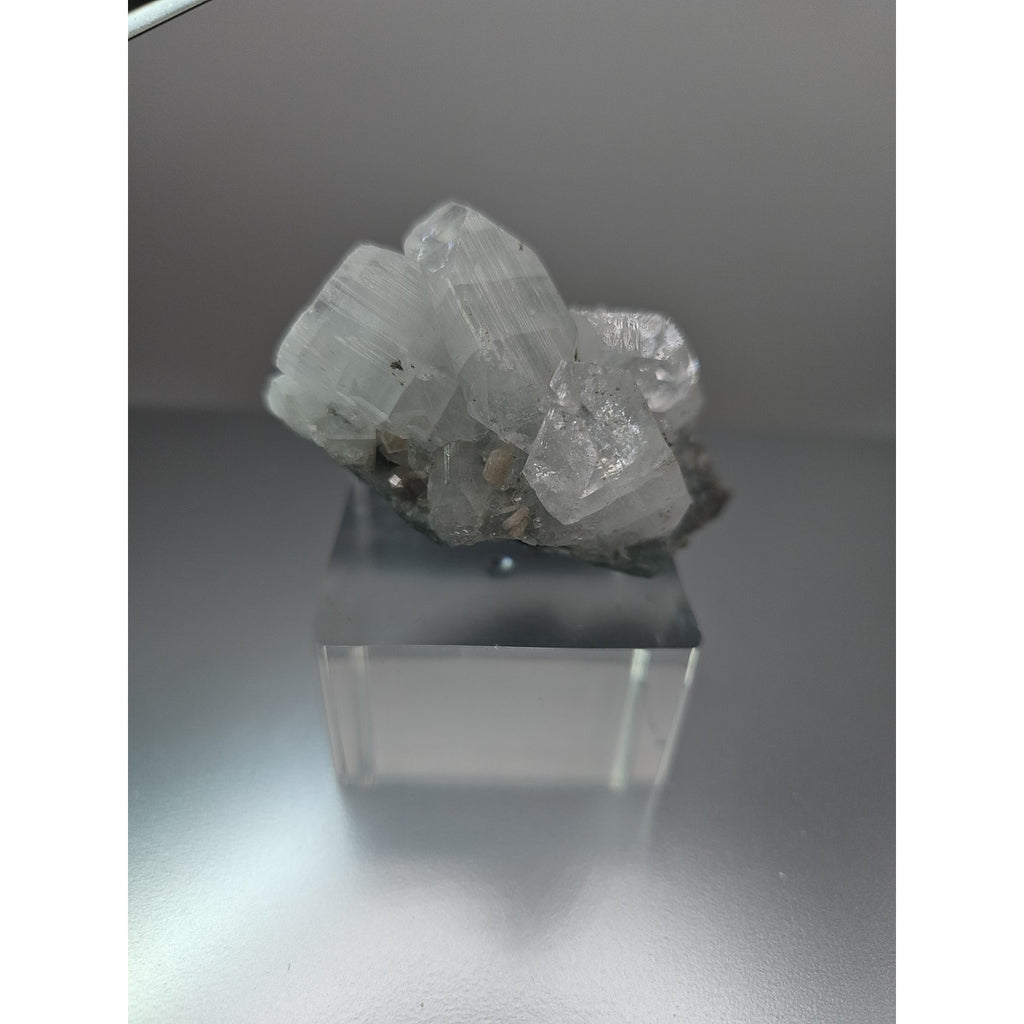 Apophyllite crystal specimen 108grams by CrystalCloud Company