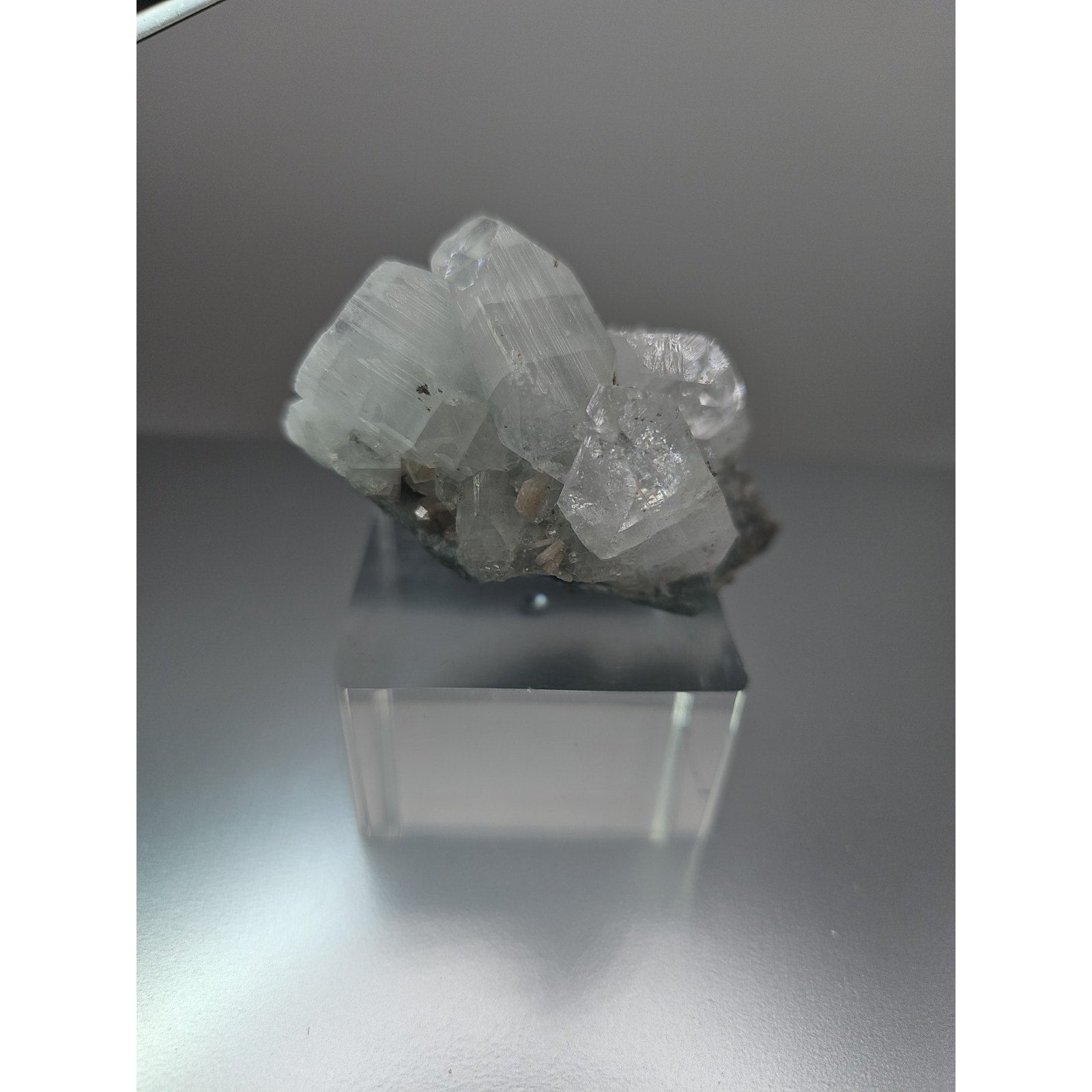 Apophyllite crystal specimen 108grams by CrystalCloud Company