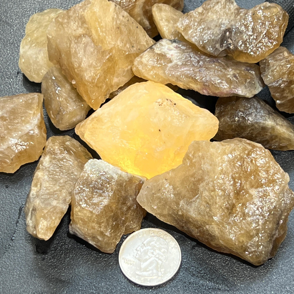 Citrine Crystal (Untreated) Rough Raw Stones (By The Piece or Pound) Wholesale by Amazing Crystals