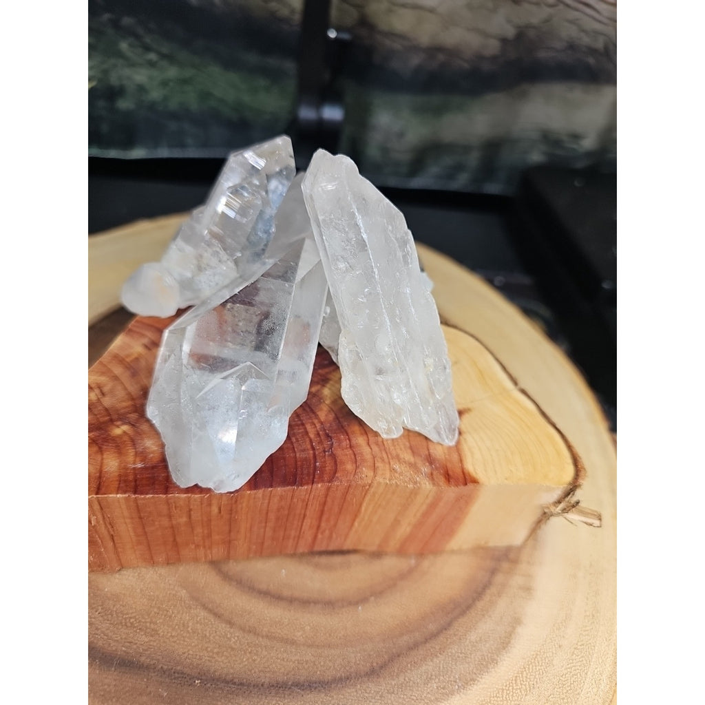 Brazilian Quartz Crystal W/wood Base .77lb Crystals by CrystalCloud Company