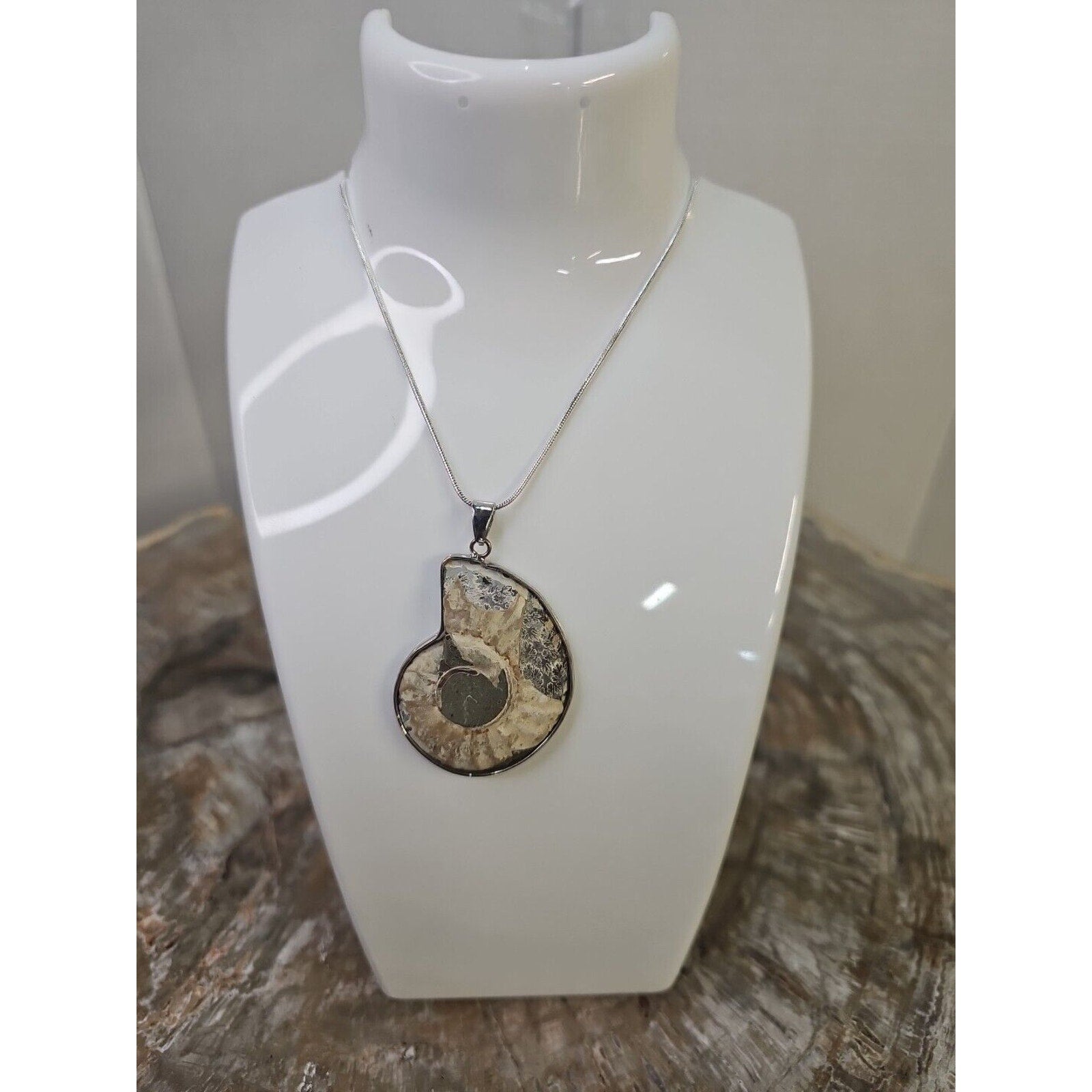 Ammonite Necklace Handmade 1 Pcs With 18in Silver Chain by CrystalCloud Company