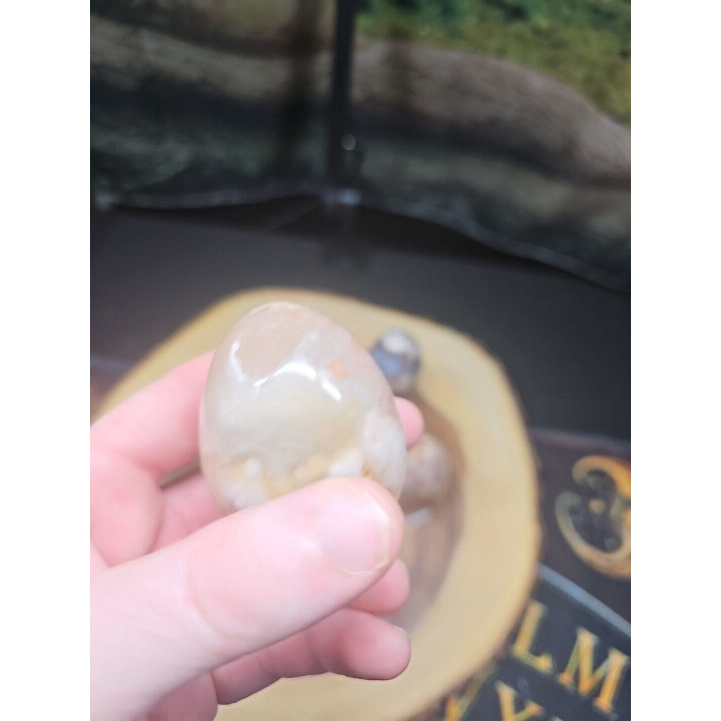 1lb 2pcs Natural Phantom Flower Carnelian Agate Crystal Geode Egg Carved Healing by CrystalCloud Company