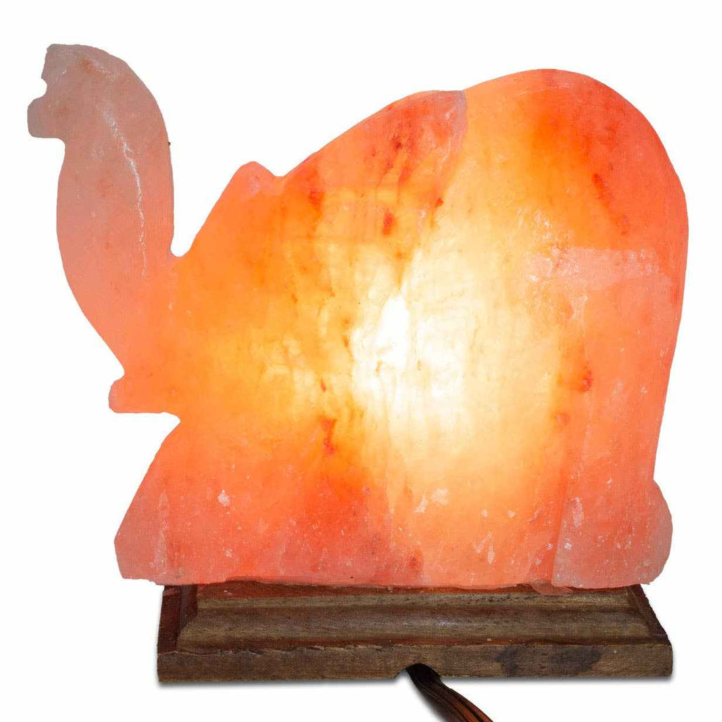 Elephant Shaped Salt Lamp - 9" avg. - Cord, Bulb, Dimmer by Sacred Crystals