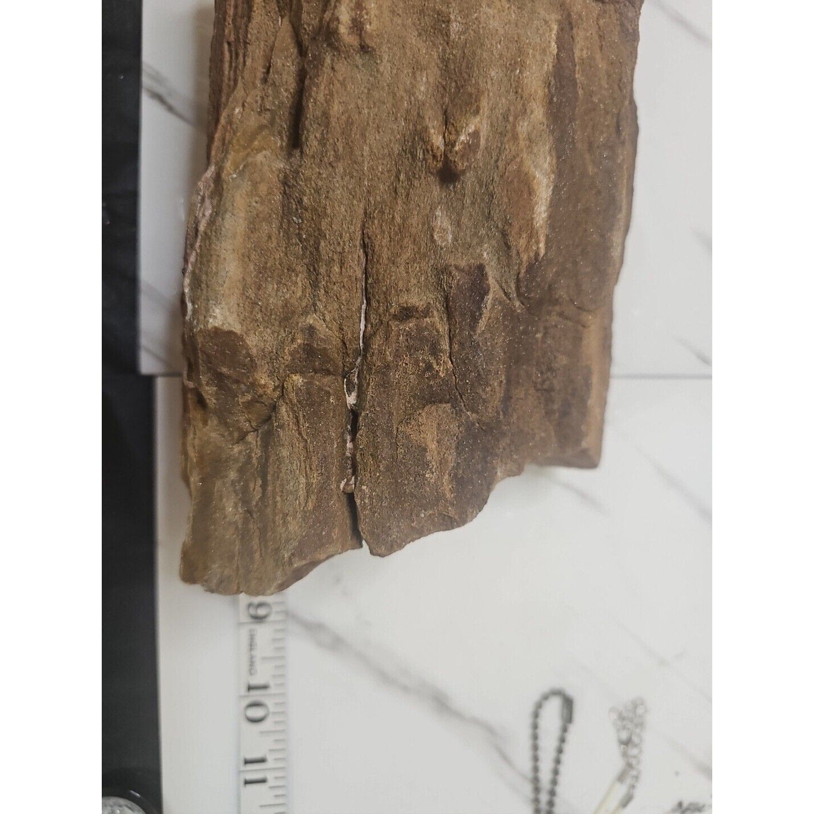 ❤️‍🔥Texas Petrified Wood! Raw Cool Details W/Stand Great Display by CrystalCloud Company