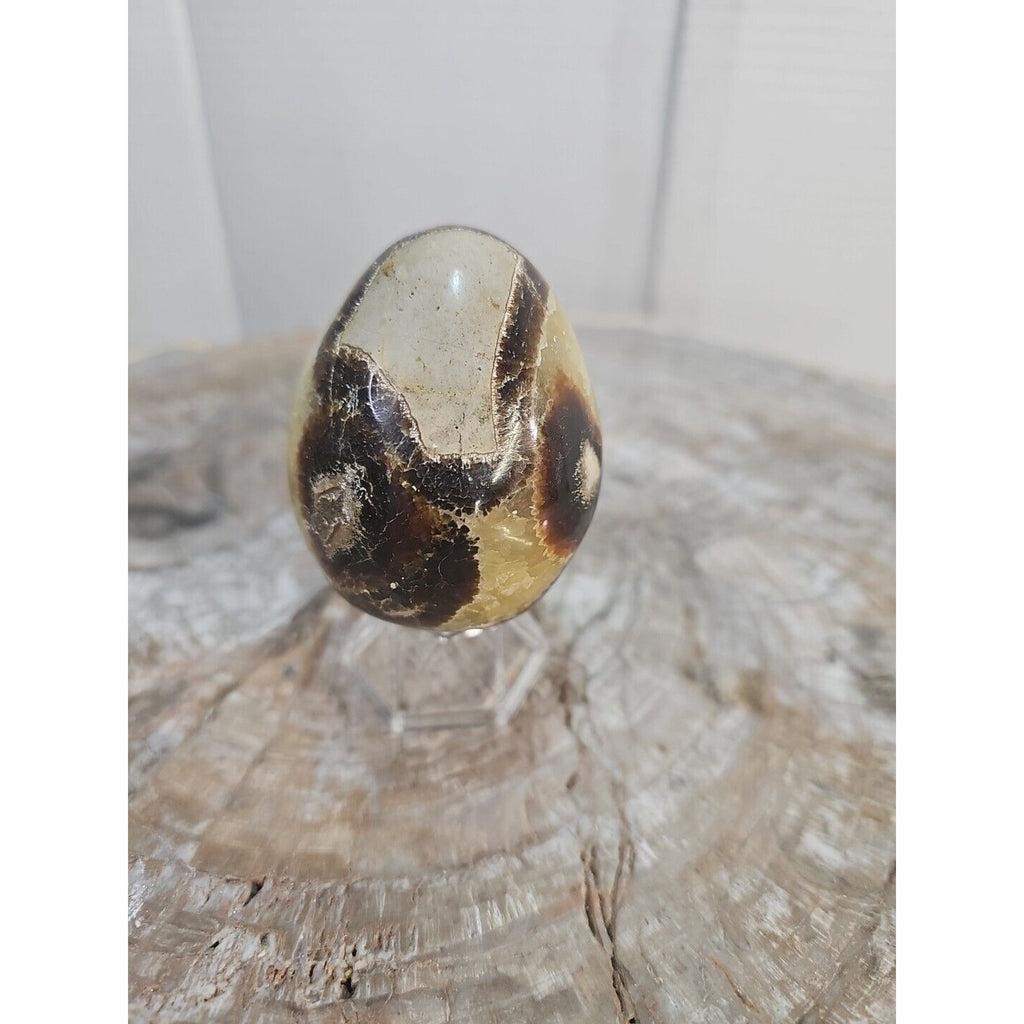 9.0oz Natural Septarian Dragon quartz Crystal egg Mineral Specimen W/Stand by CrystalCloud Company