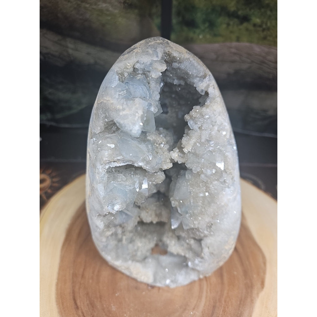 Large Baby Blue Celestite Geode Cluster — 13.6 lbs, 8 inches, Brazil | CrystalCloud Company by CrystalCloud Company