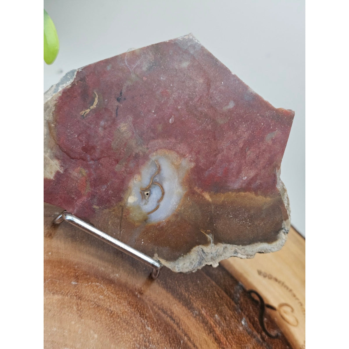 Red Agate Slice on Metal Display Stand