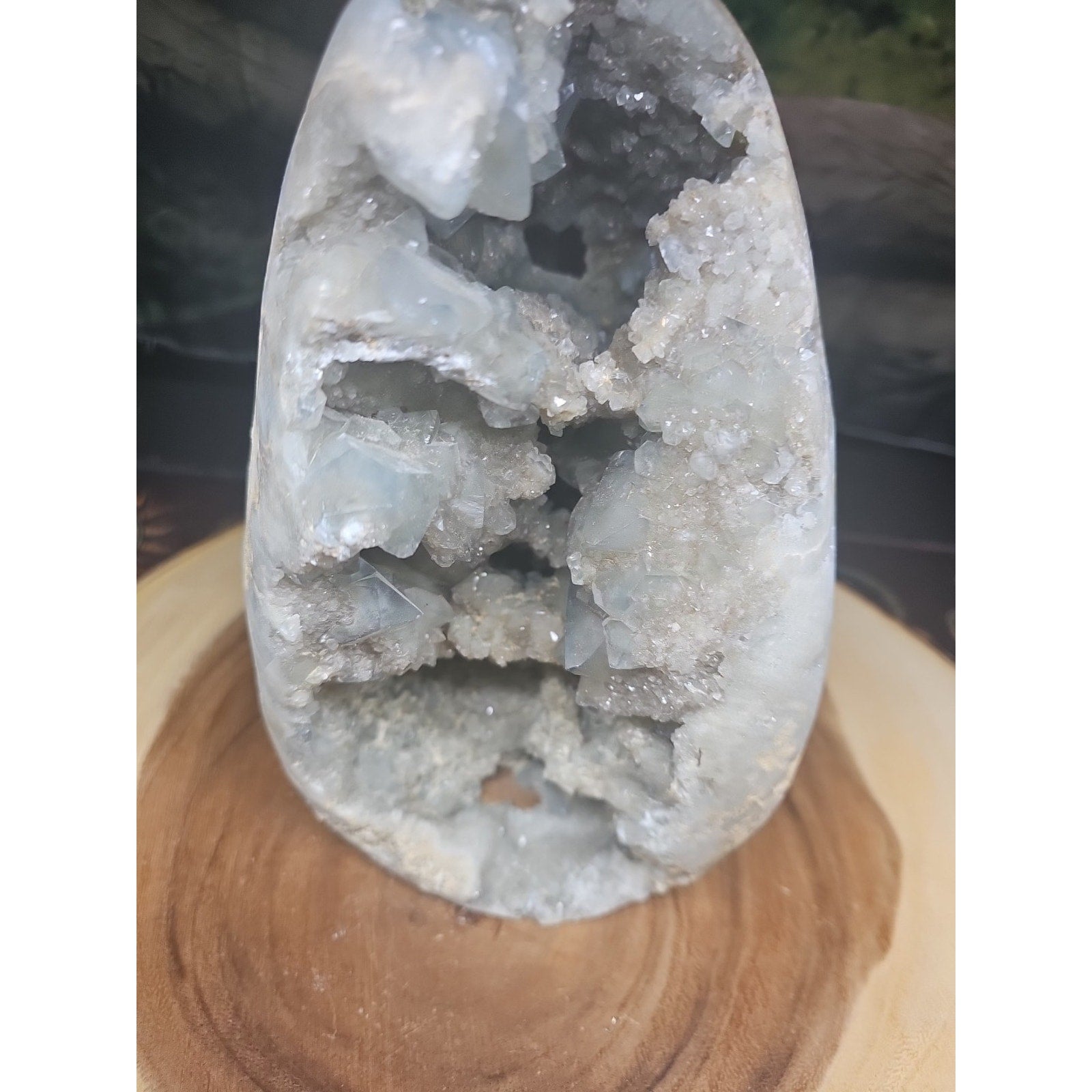 Large Baby Blue Celestite Geode Cluster — 13.6 lbs, 8 inches, Brazil | CrystalCloud Company by CrystalCloud Company