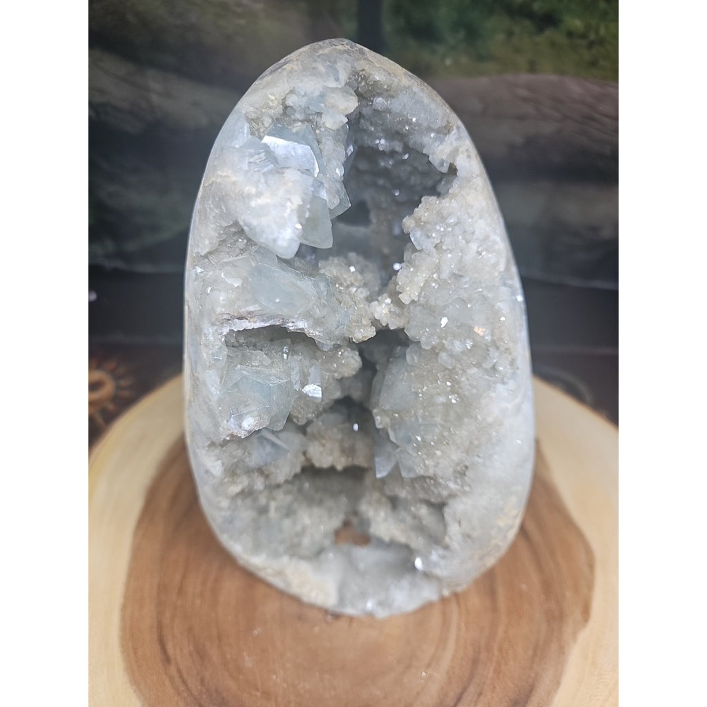 Large Baby Blue Celestite Geode Cluster — 13.6 lbs, 8 inches, Brazil | CrystalCloud Company by CrystalCloud Company