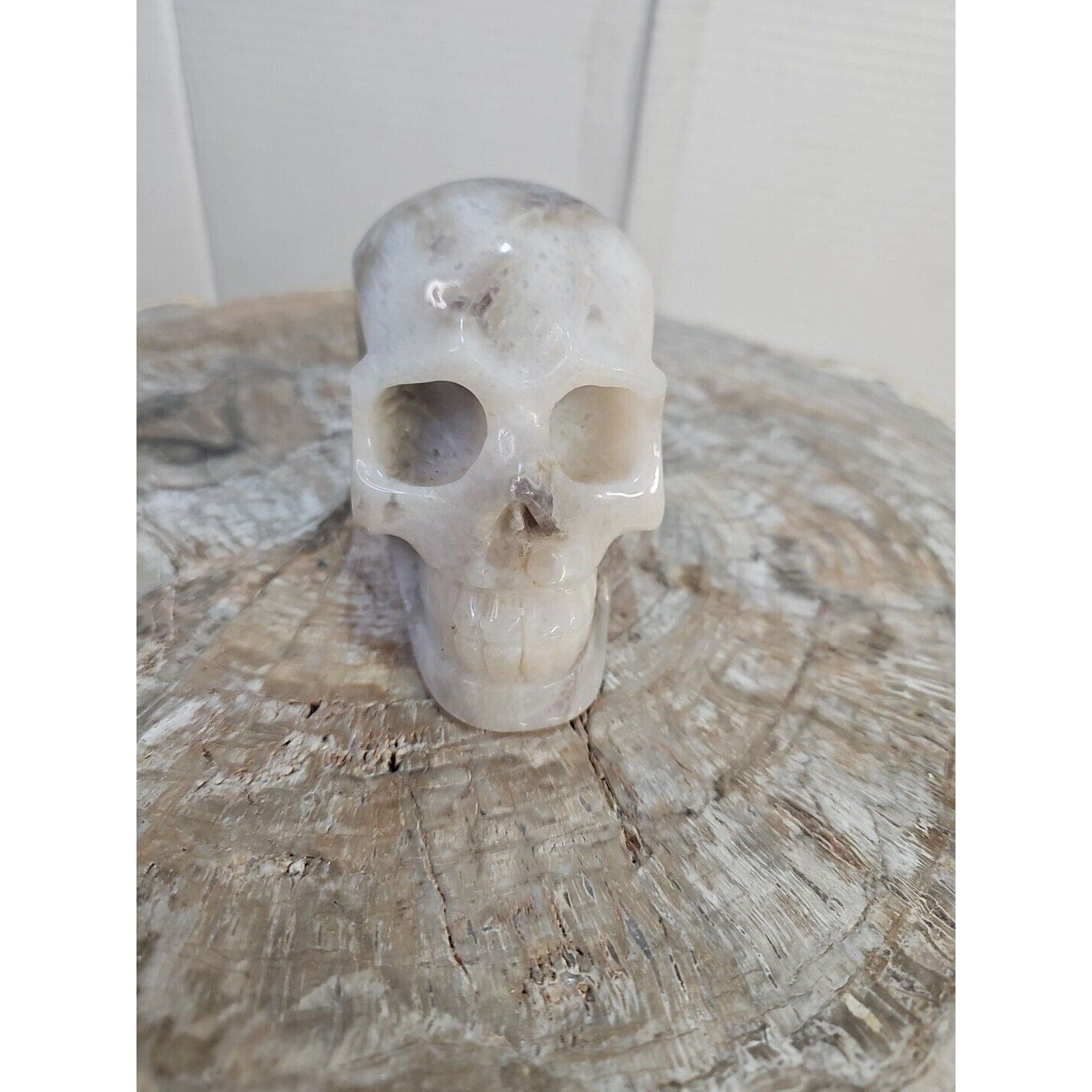 2.2 lb Natural Amethyst Hand-Carved Crystal Skull — Spiritual Collector Piece | CrystalCloud Company by CrystalCloud Company