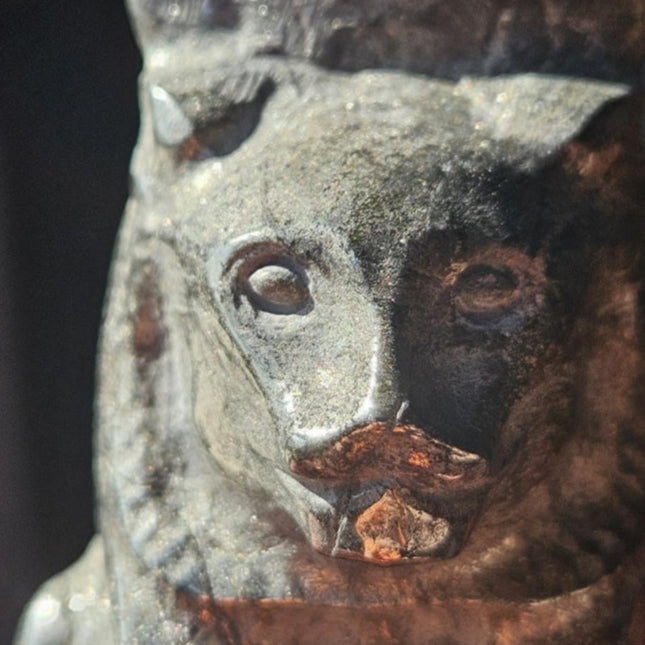Egyptian Sekhmet Goddess Bust in Pyrite, 2 Sizes Available, Choose Your Favorite