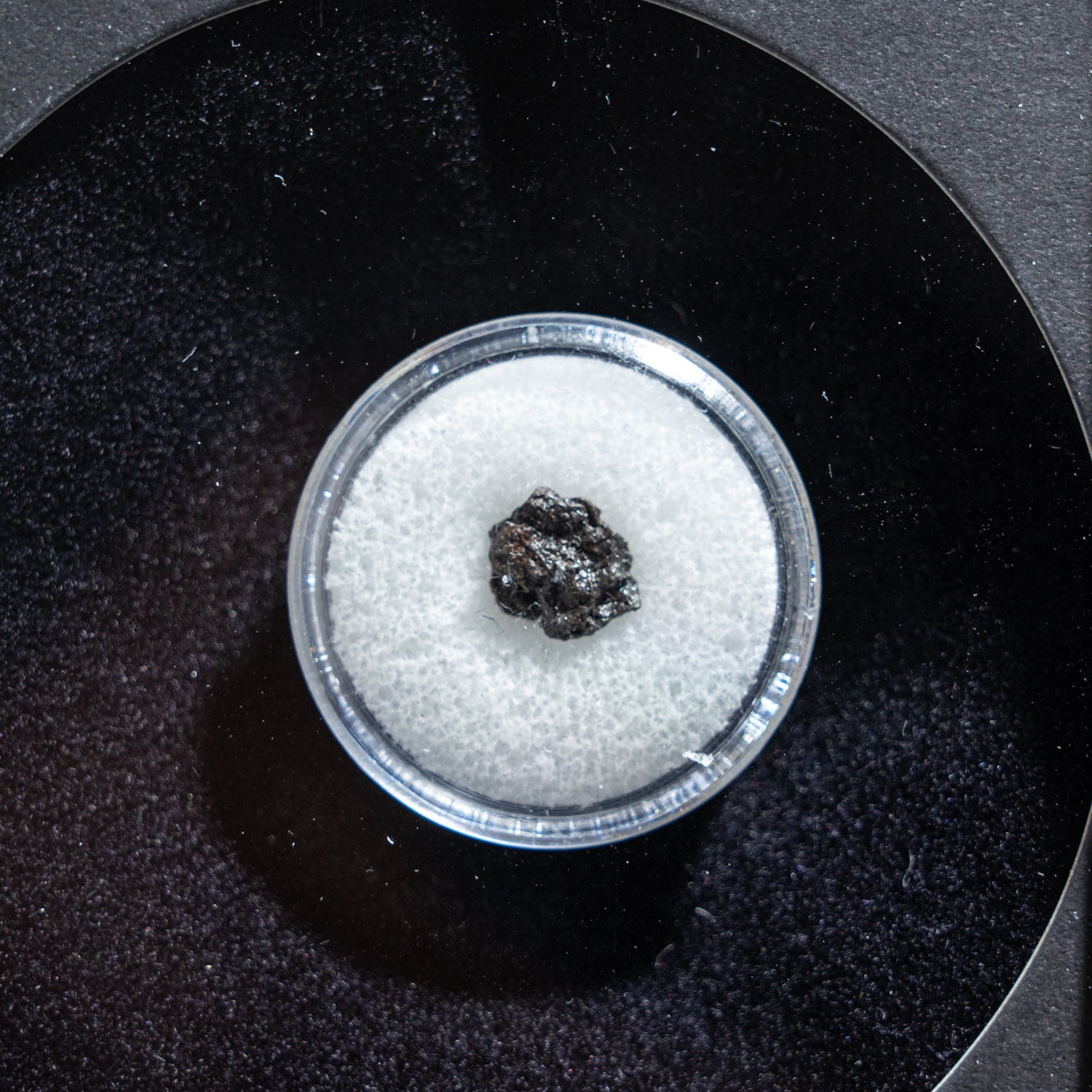 Genuine Vaca Muerta Meteorite in Glass Display Box