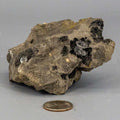 Herkimer Diamond Crystal in Matrix Host Rock Natural