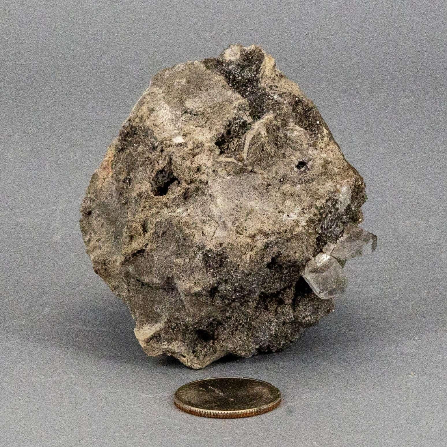 Herkimer Diamond Crystal in Matrix Host Rock Specimen