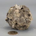 Herkimer Diamond Crystal in Matrix Host Rock Specimen