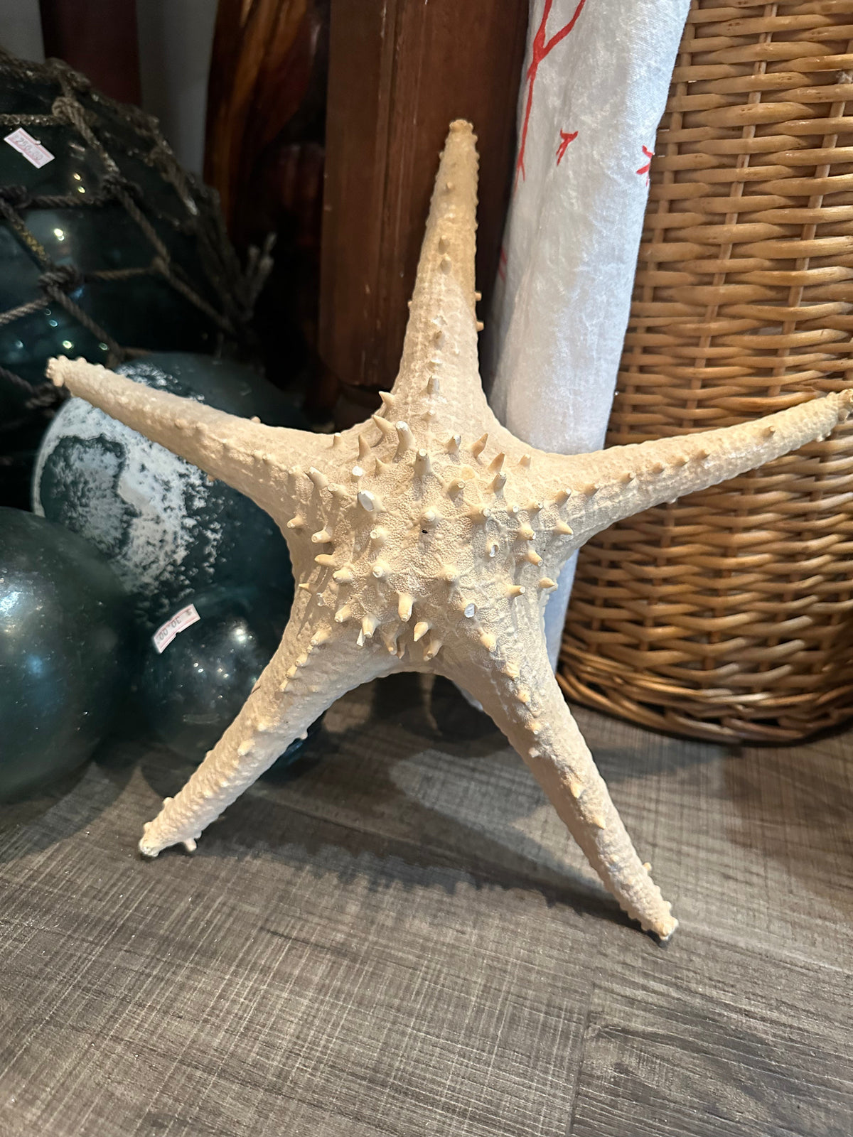 Vintage Thorny Tan Starfish Specimen 12" - Natural Marine Coastal Decor