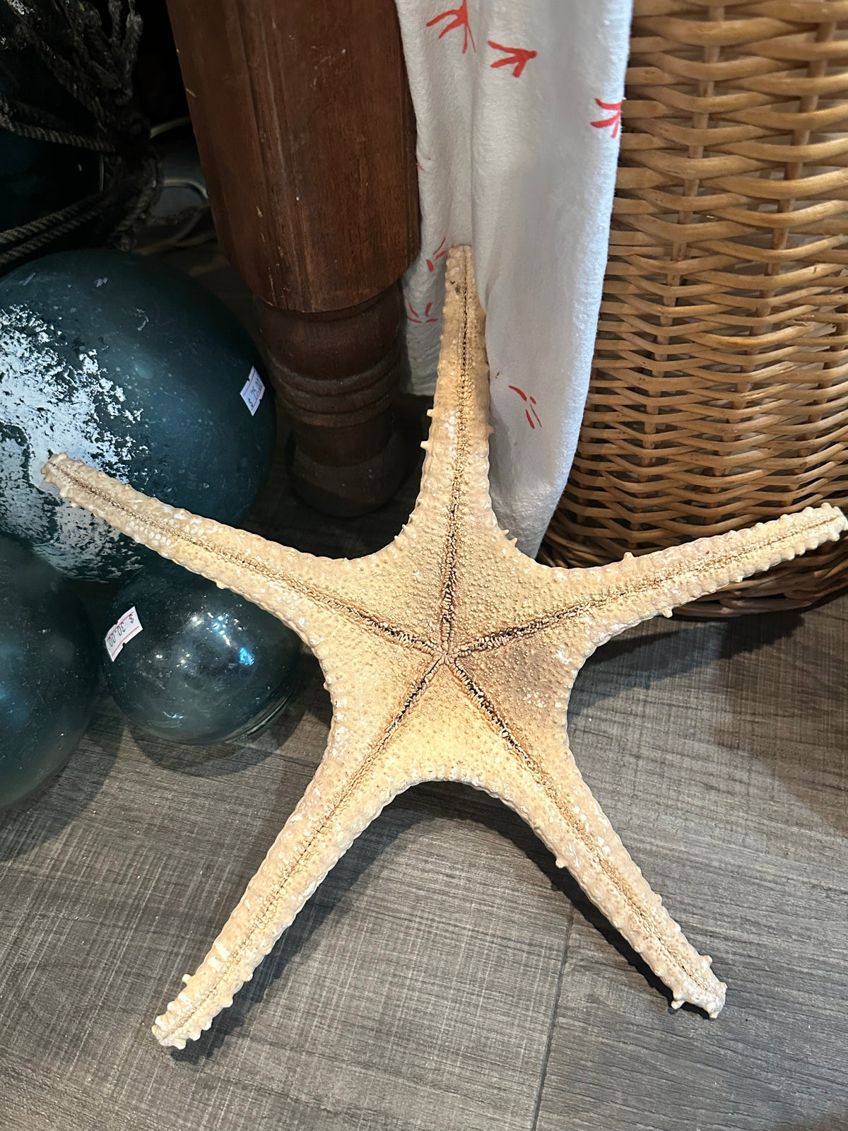Vintage Thorny Tan Starfish Specimen 12" - Natural Marine Coastal Decor