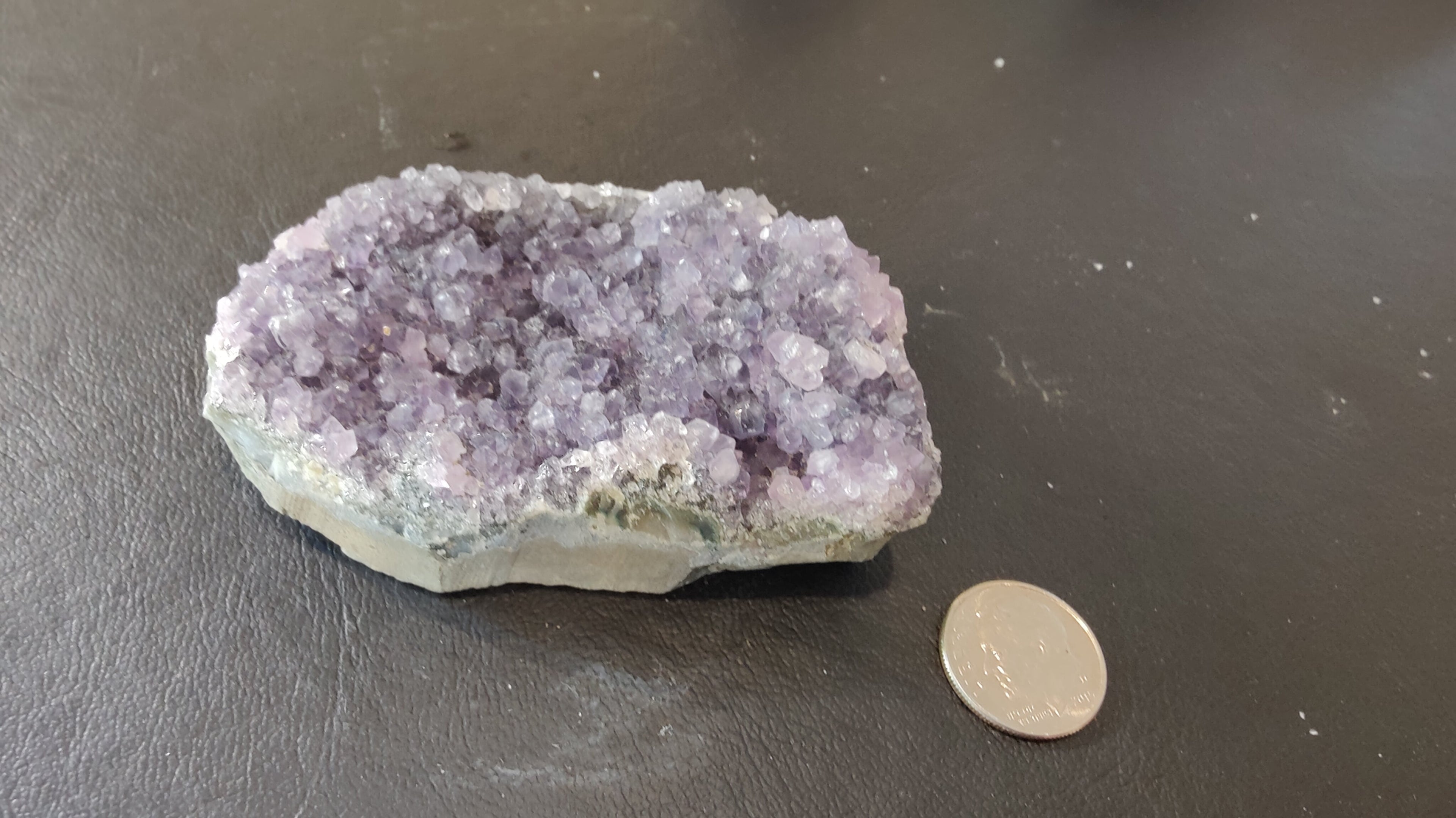Brazilian Amethyst Druze (Sm) by Rare Earth Gallery