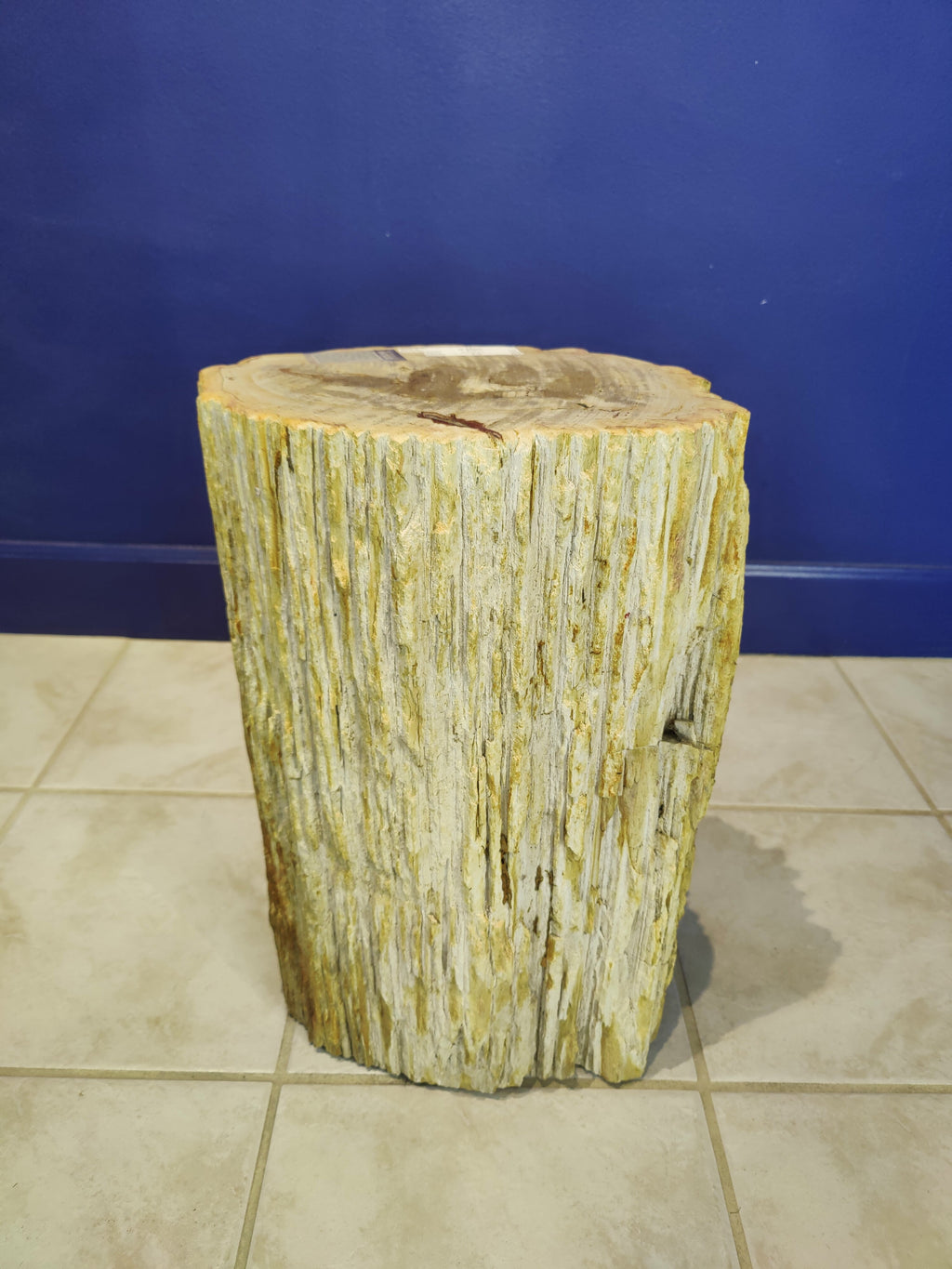Petrified Wood Pedestal by Rare Earth Gallery