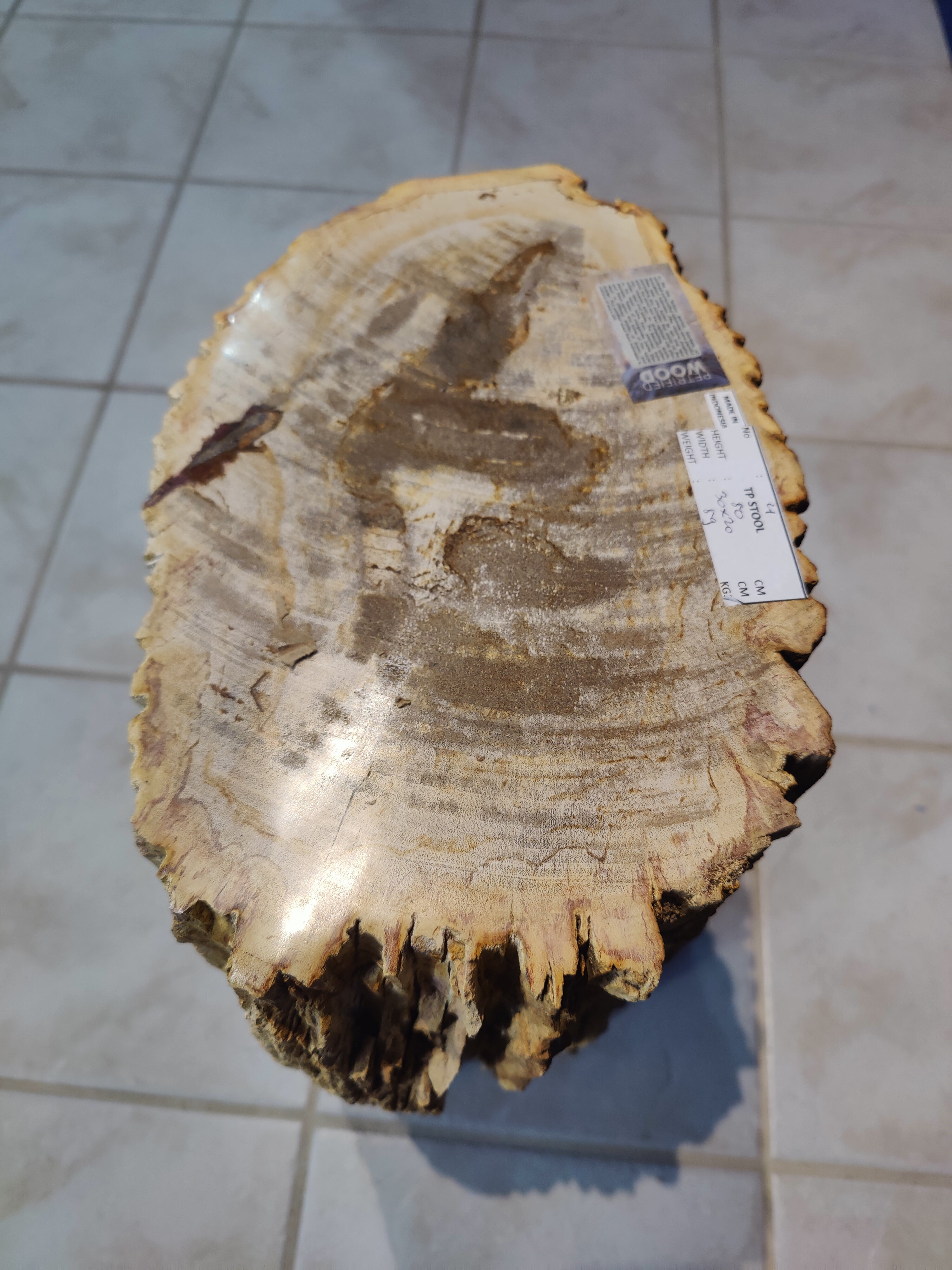 Petrified Wood Pedestal by Rare Earth Gallery