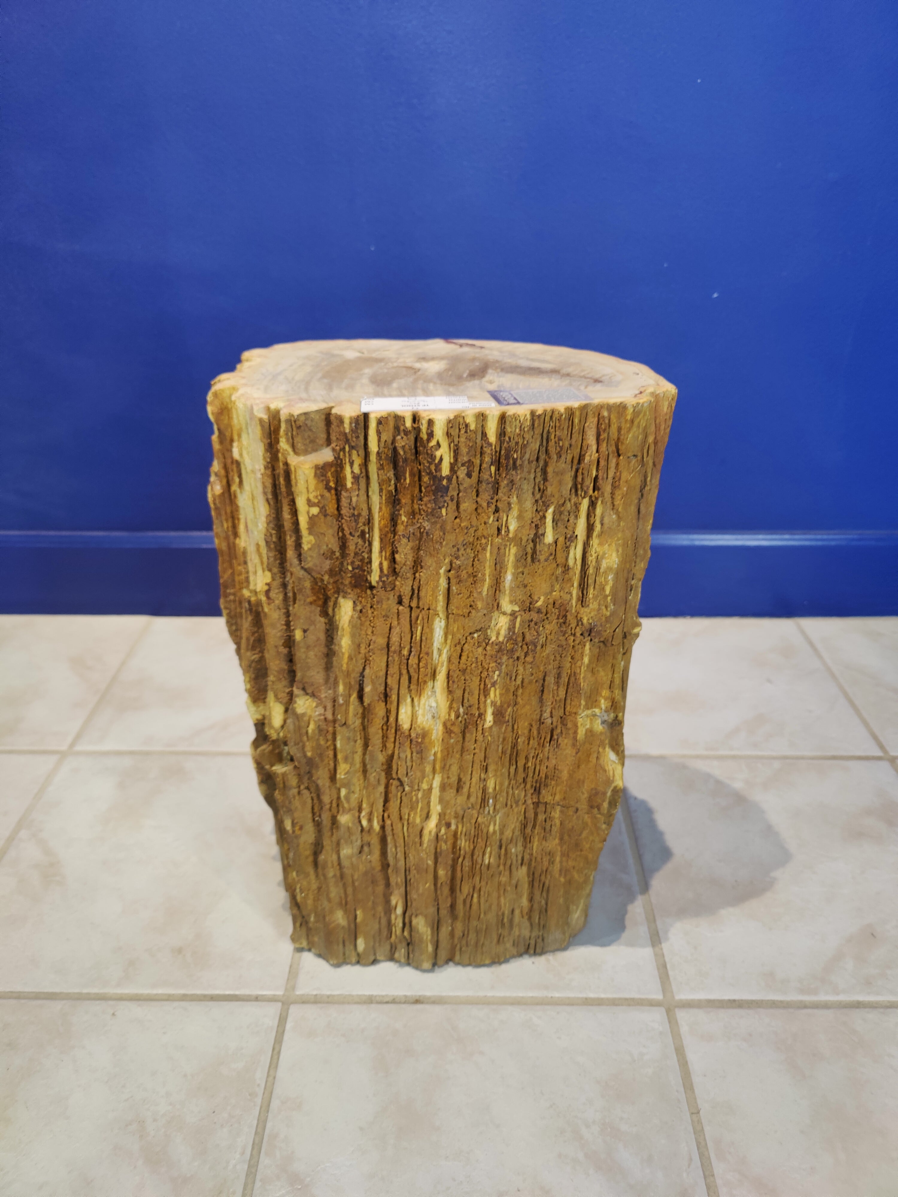 Petrified Wood Pedestal by Rare Earth Gallery