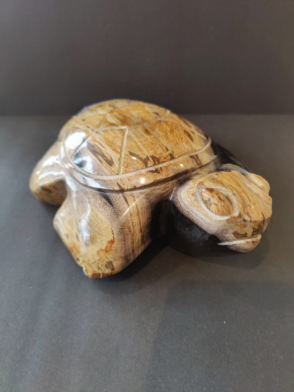 Petrified Wood Turtle Sculpture by Rare Earth Gallery