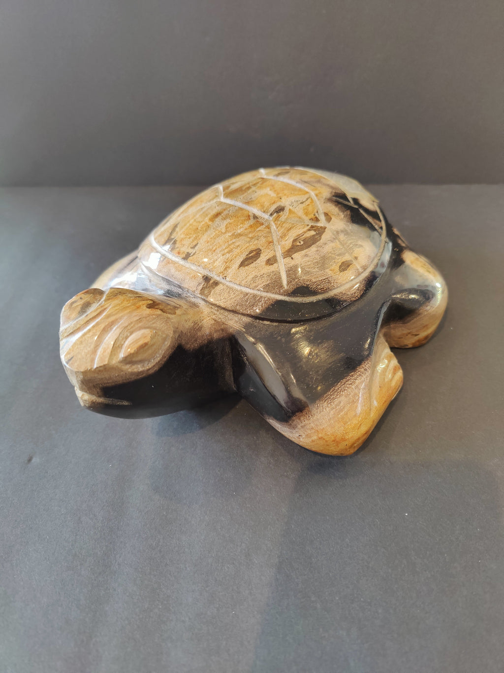 Petrified Wood Turtle Sculpture by Rare Earth Gallery