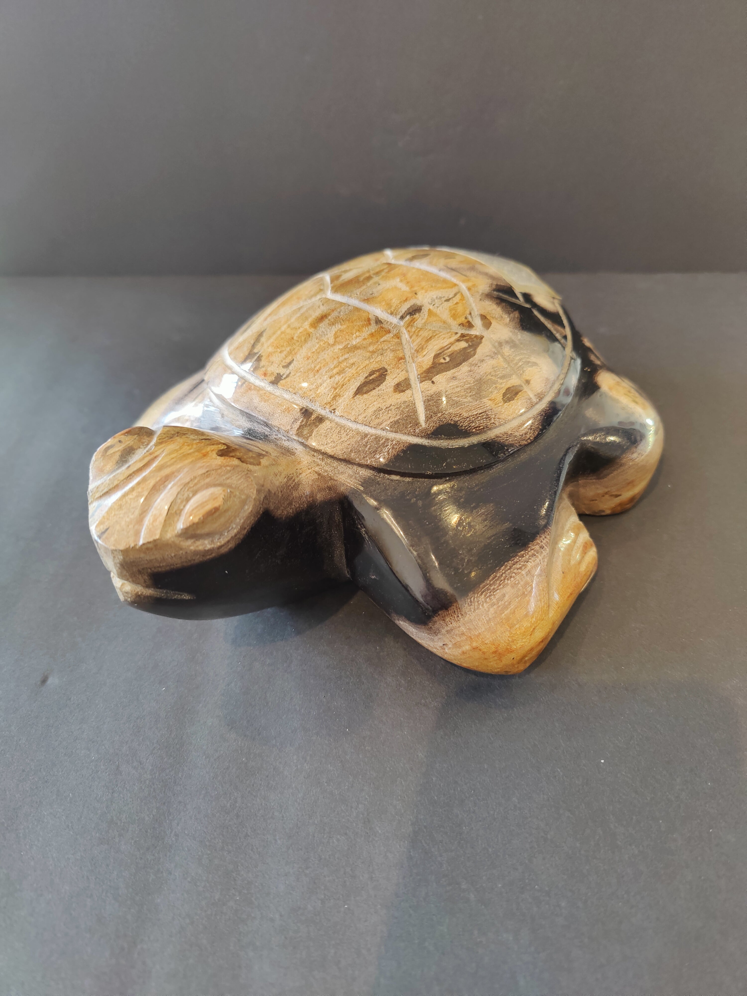 Petrified Wood Turtle Sculpture by Rare Earth Gallery