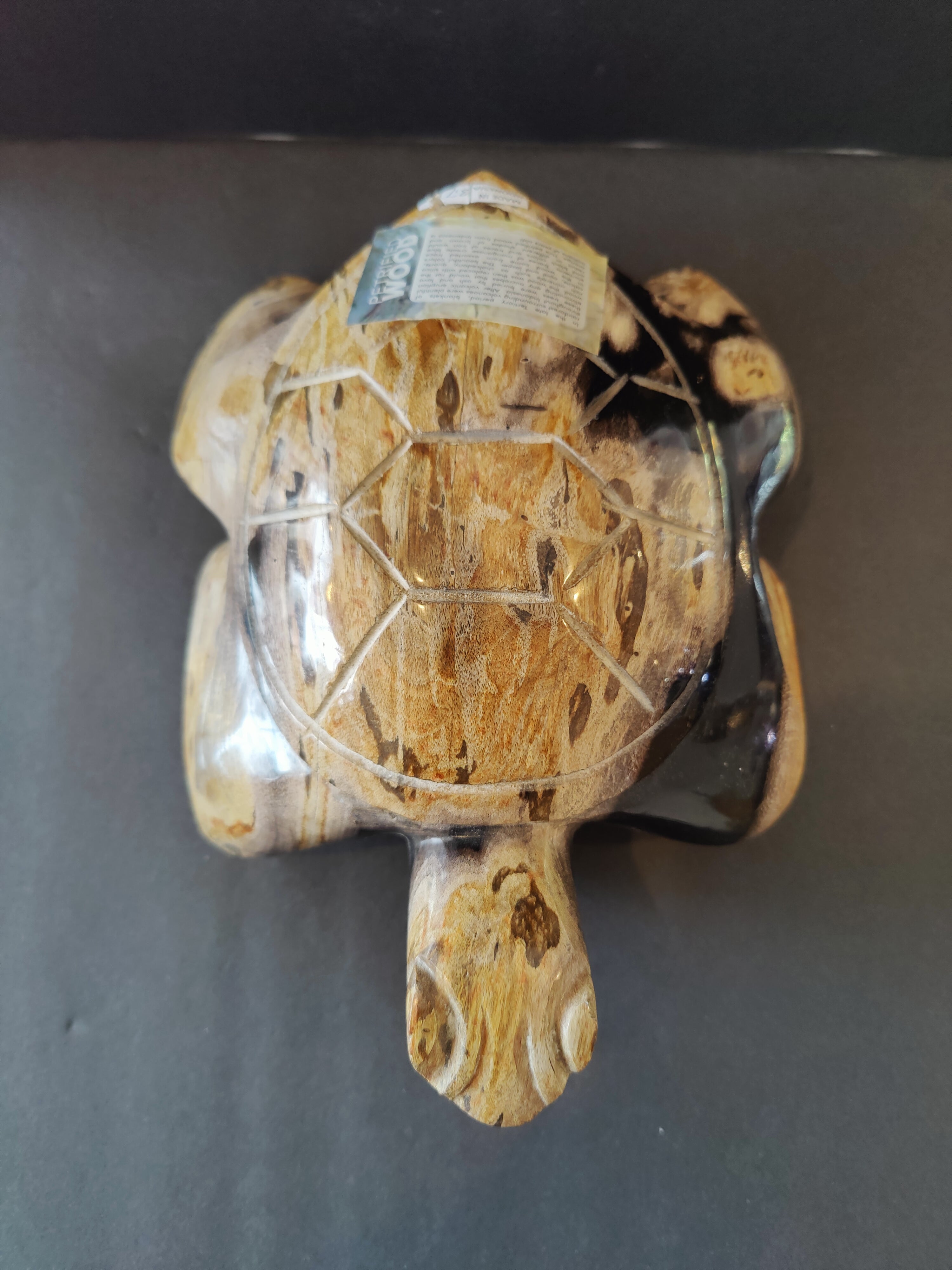 Petrified Wood Turtle Sculpture by Rare Earth Gallery