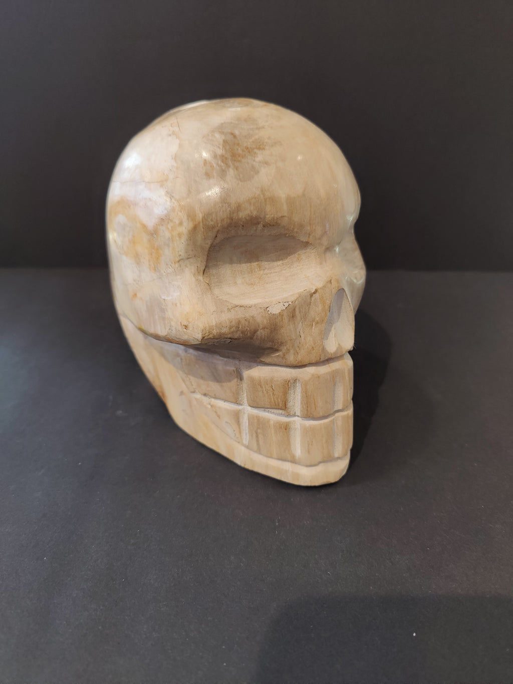 Petrified Wood Skull Sculpture by Rare Earth Gallery