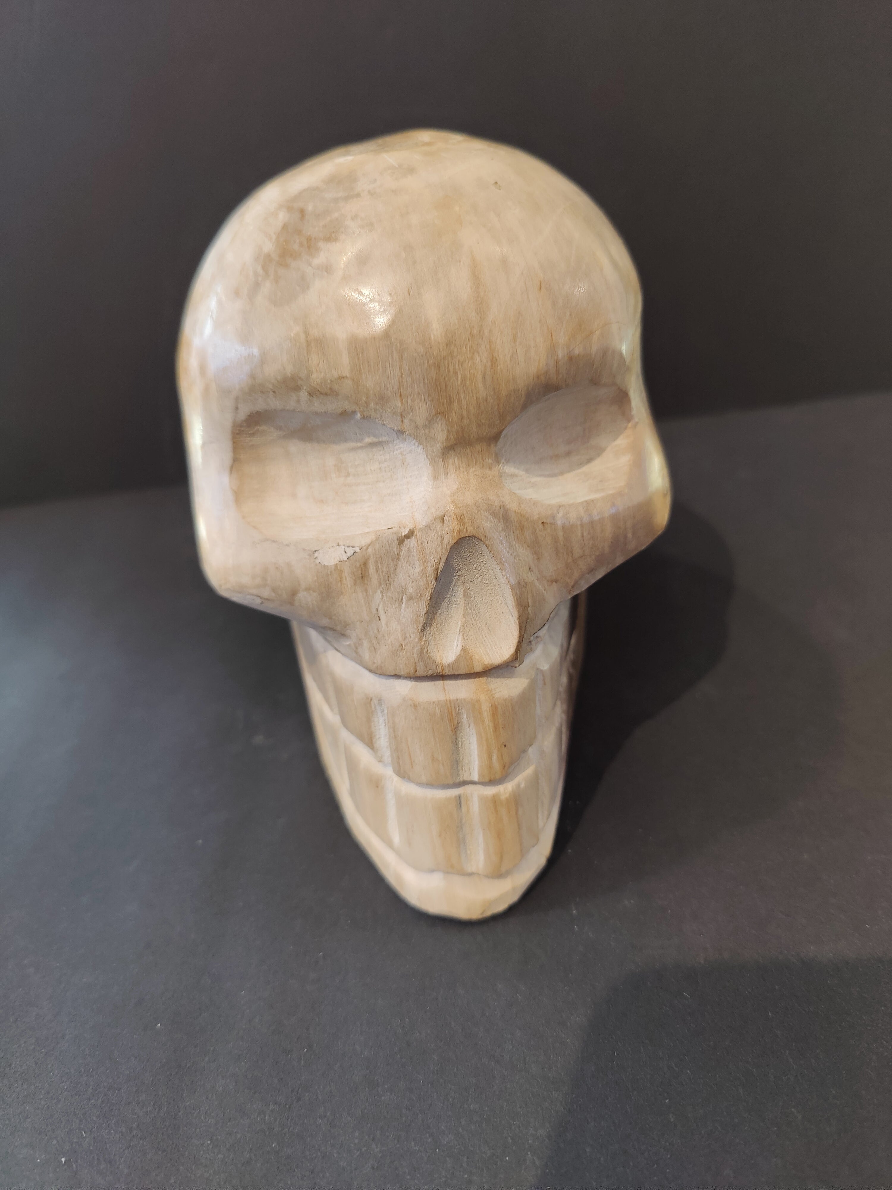 Petrified Wood Skull Sculpture by Rare Earth Gallery