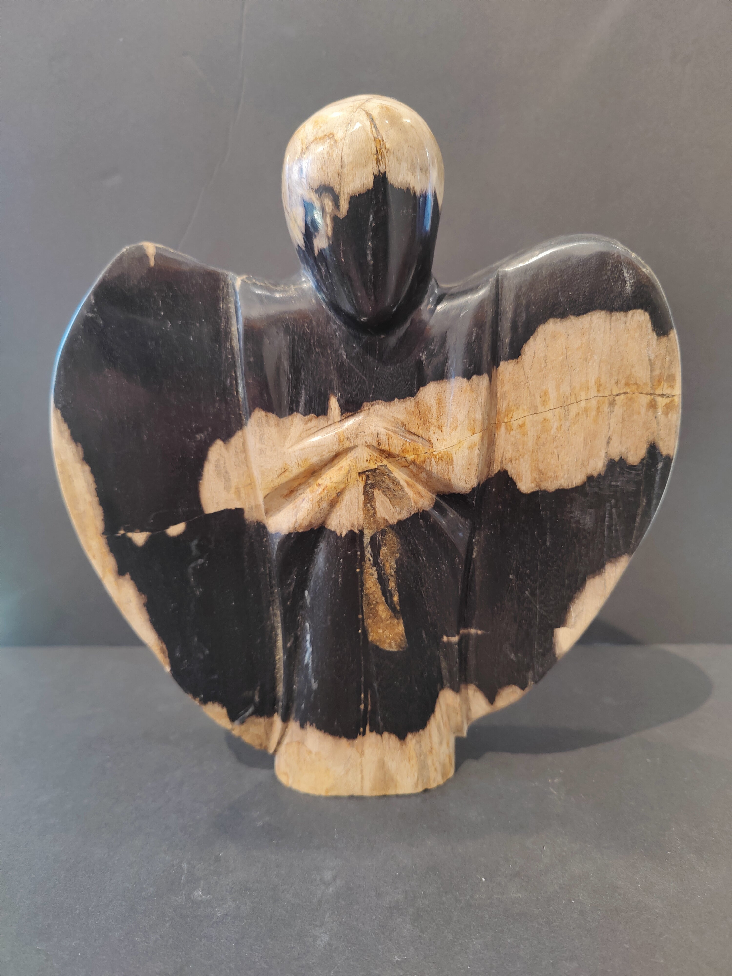 Petrified Wood Angel