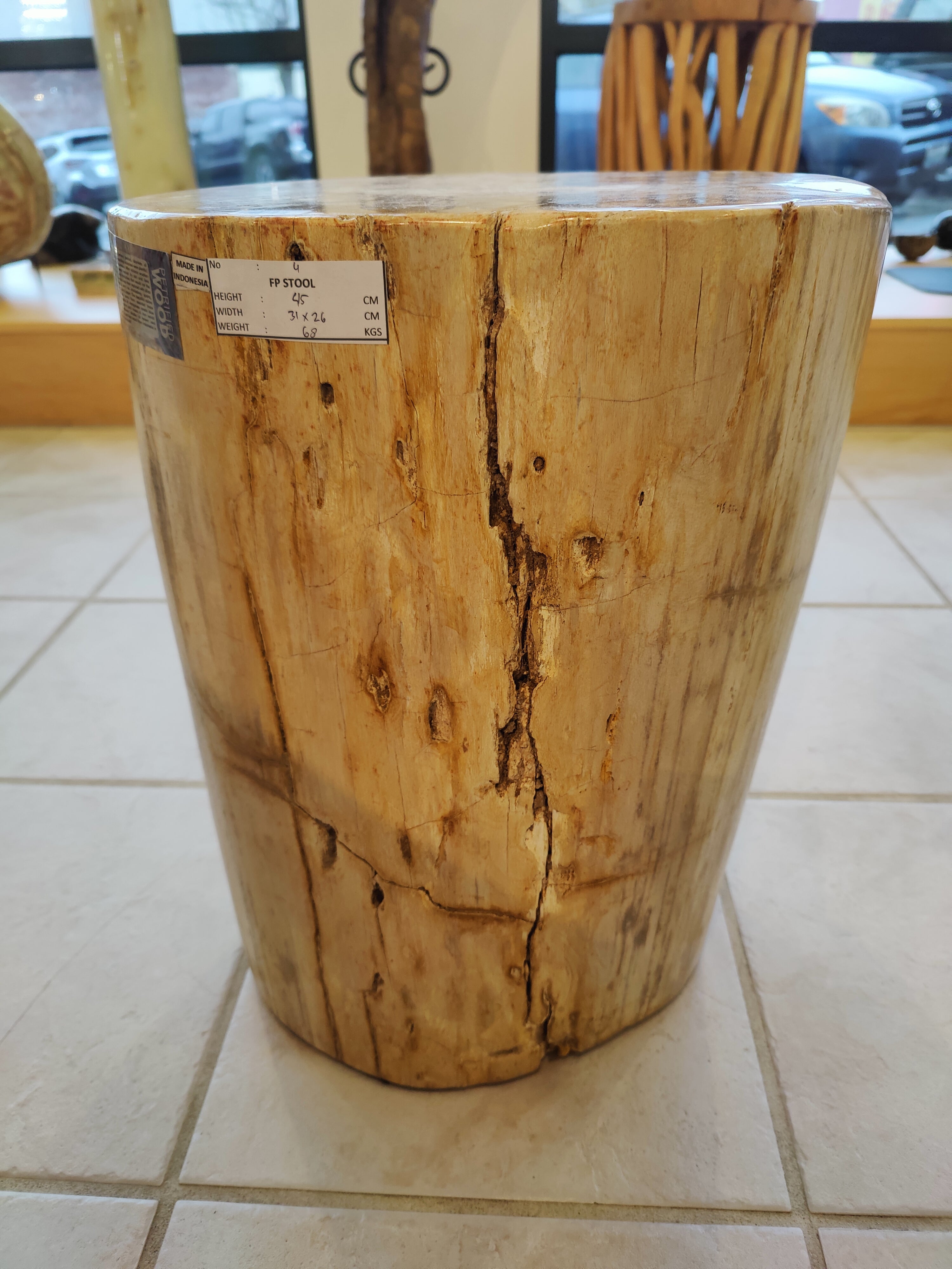 Petrified Wood Pedestal by Rare Earth Gallery
