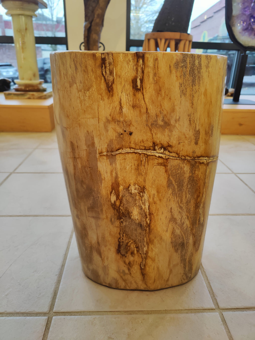 Petrified Wood Pedestal by Rare Earth Gallery