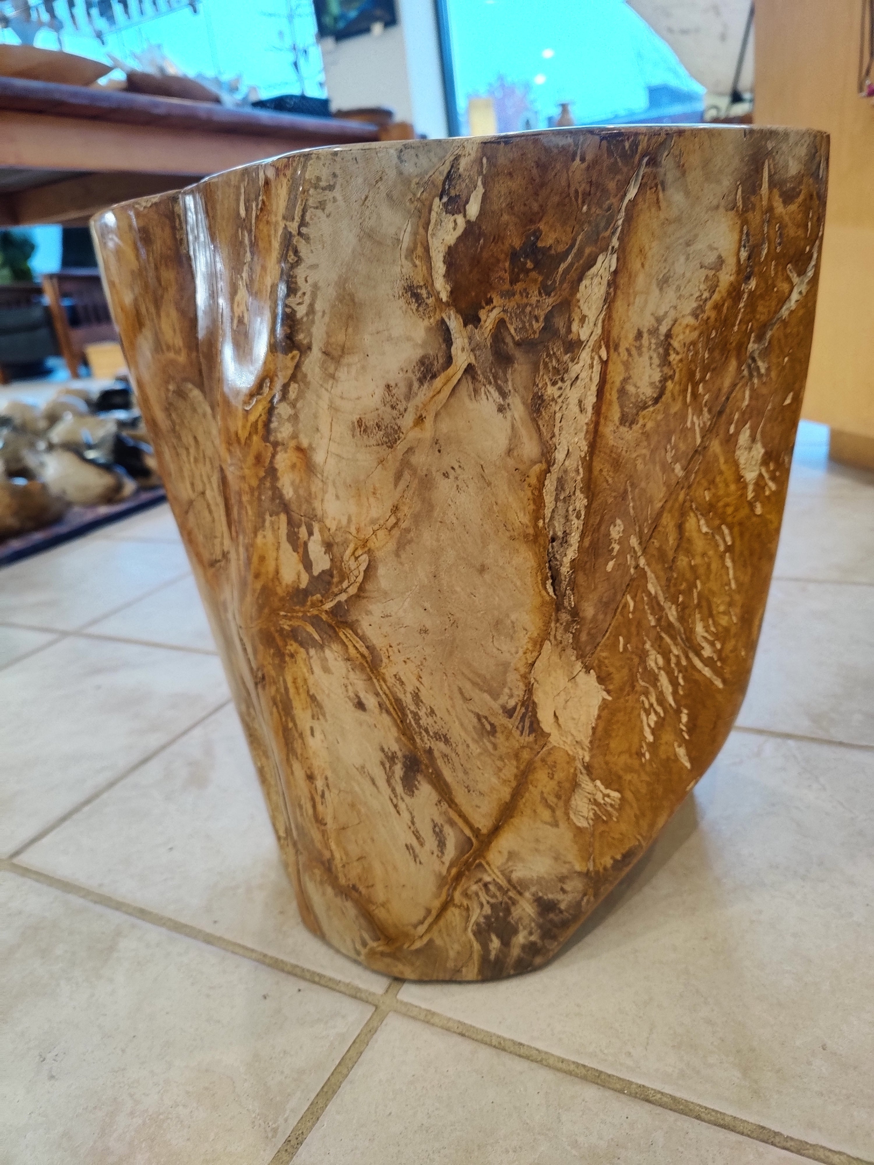 Petrified Wood Pedestal by Rare Earth Gallery