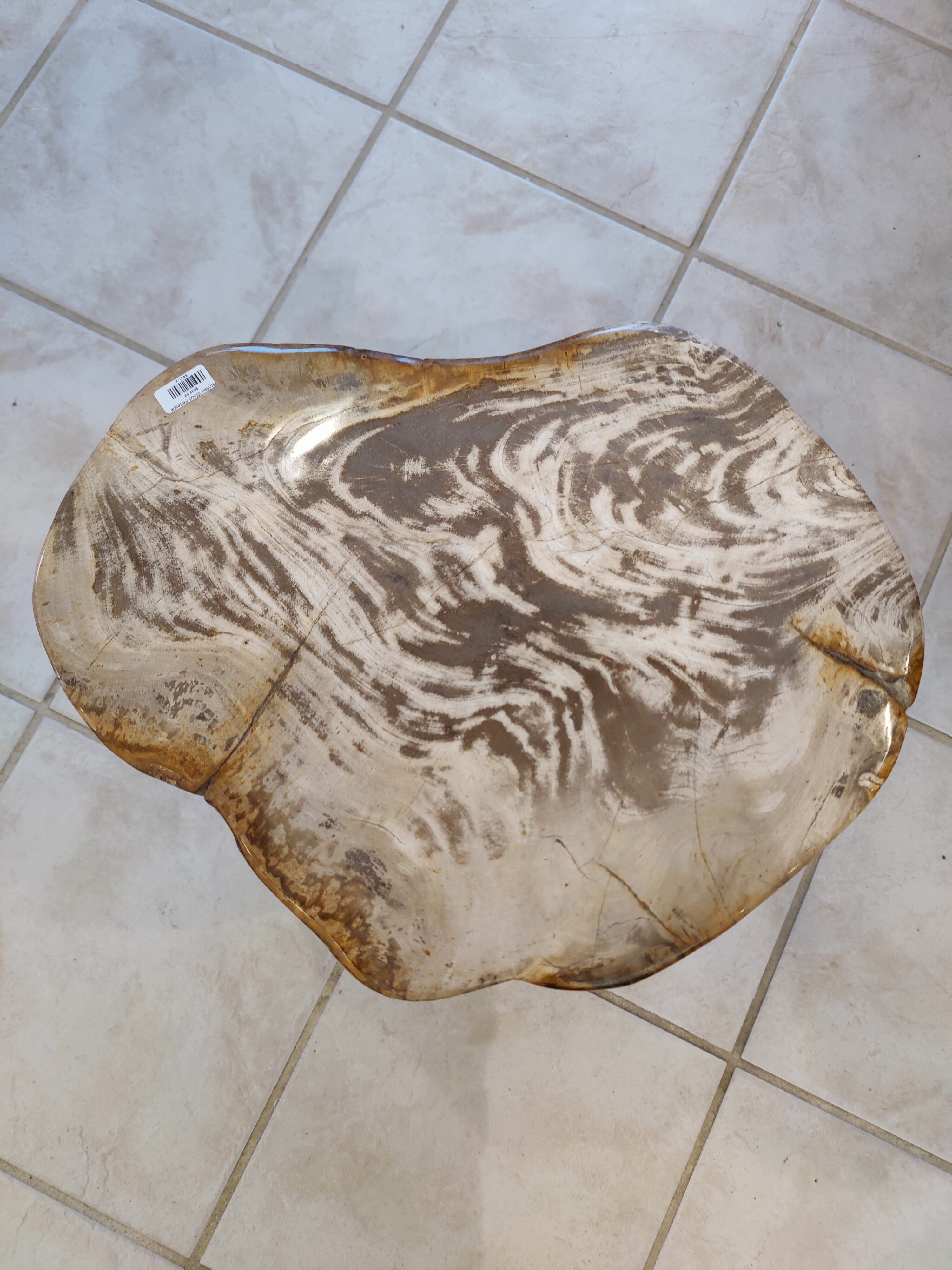 Petrified Wood Pedestal by Rare Earth Gallery