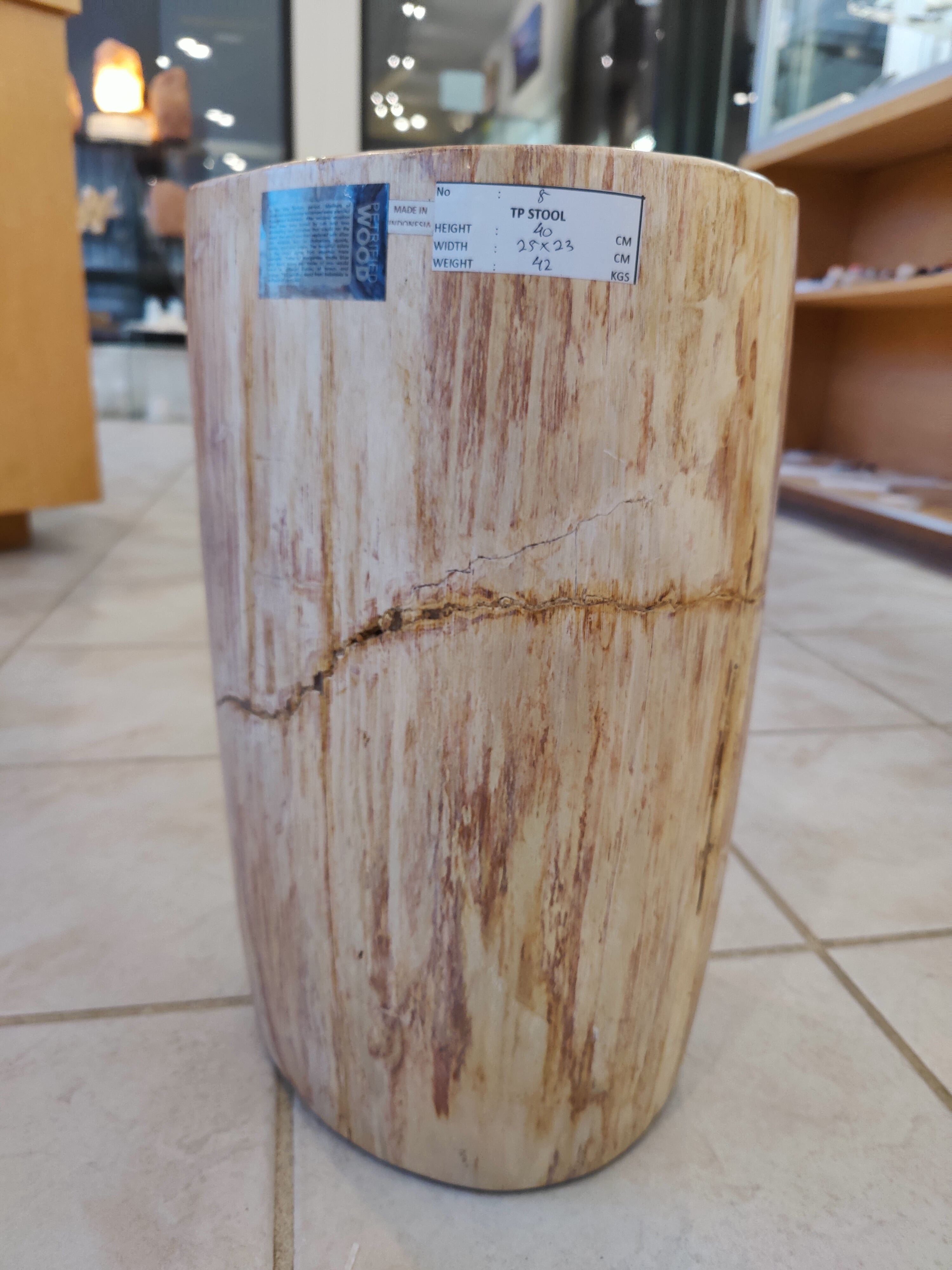 Petrified Wood Pedestal by Rare Earth Gallery