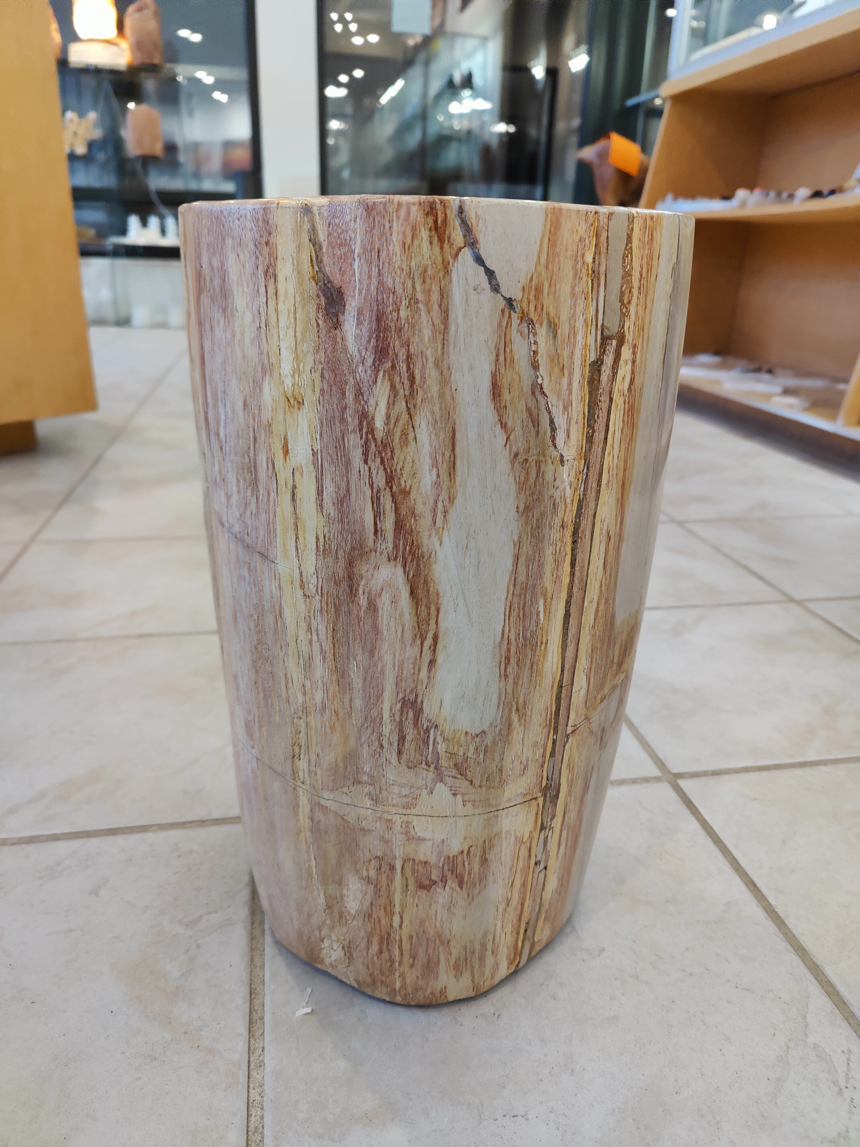 Petrified Wood Pedestal by Rare Earth Gallery