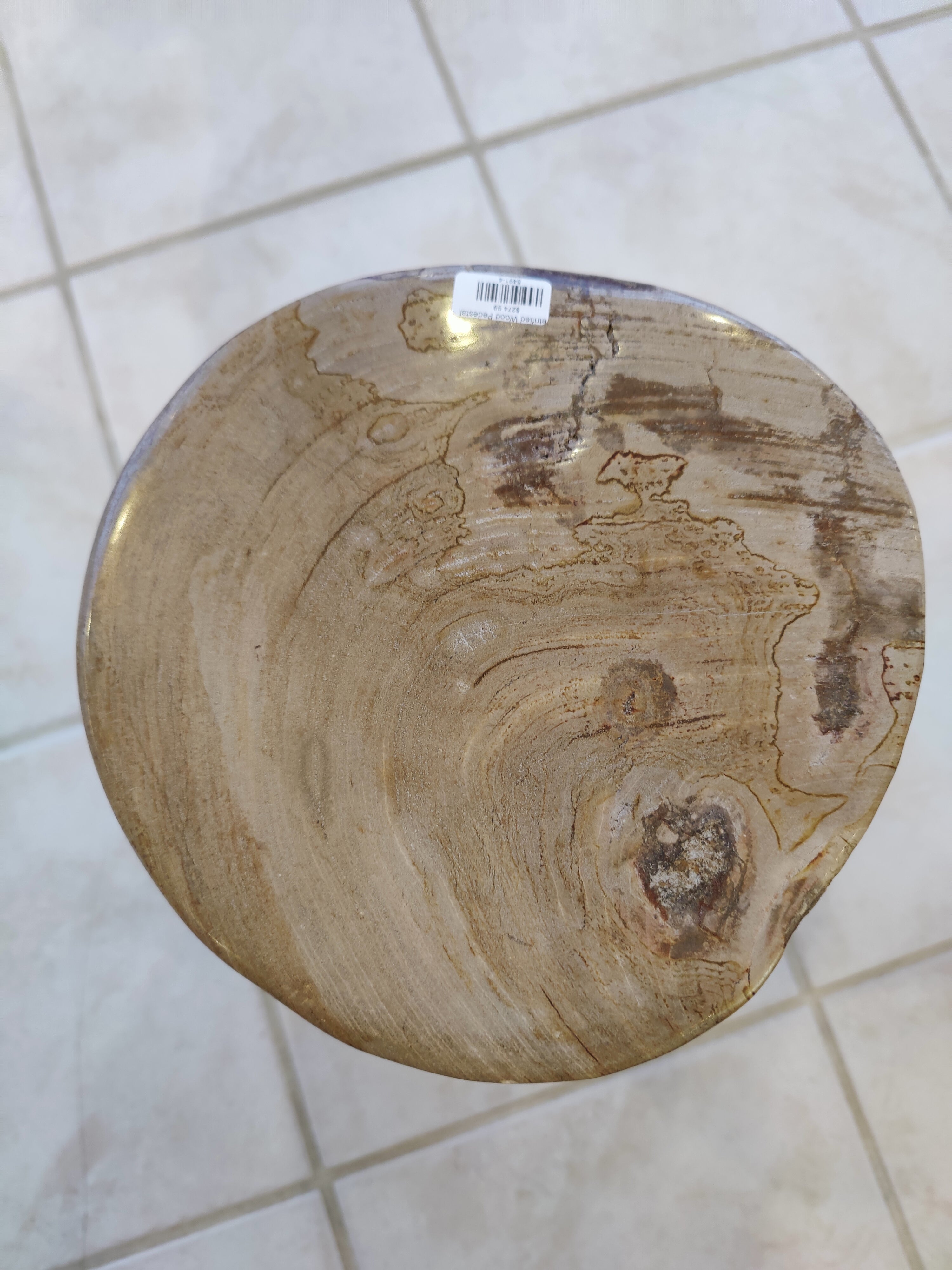 Petrified Wood Pedestal by Rare Earth Gallery