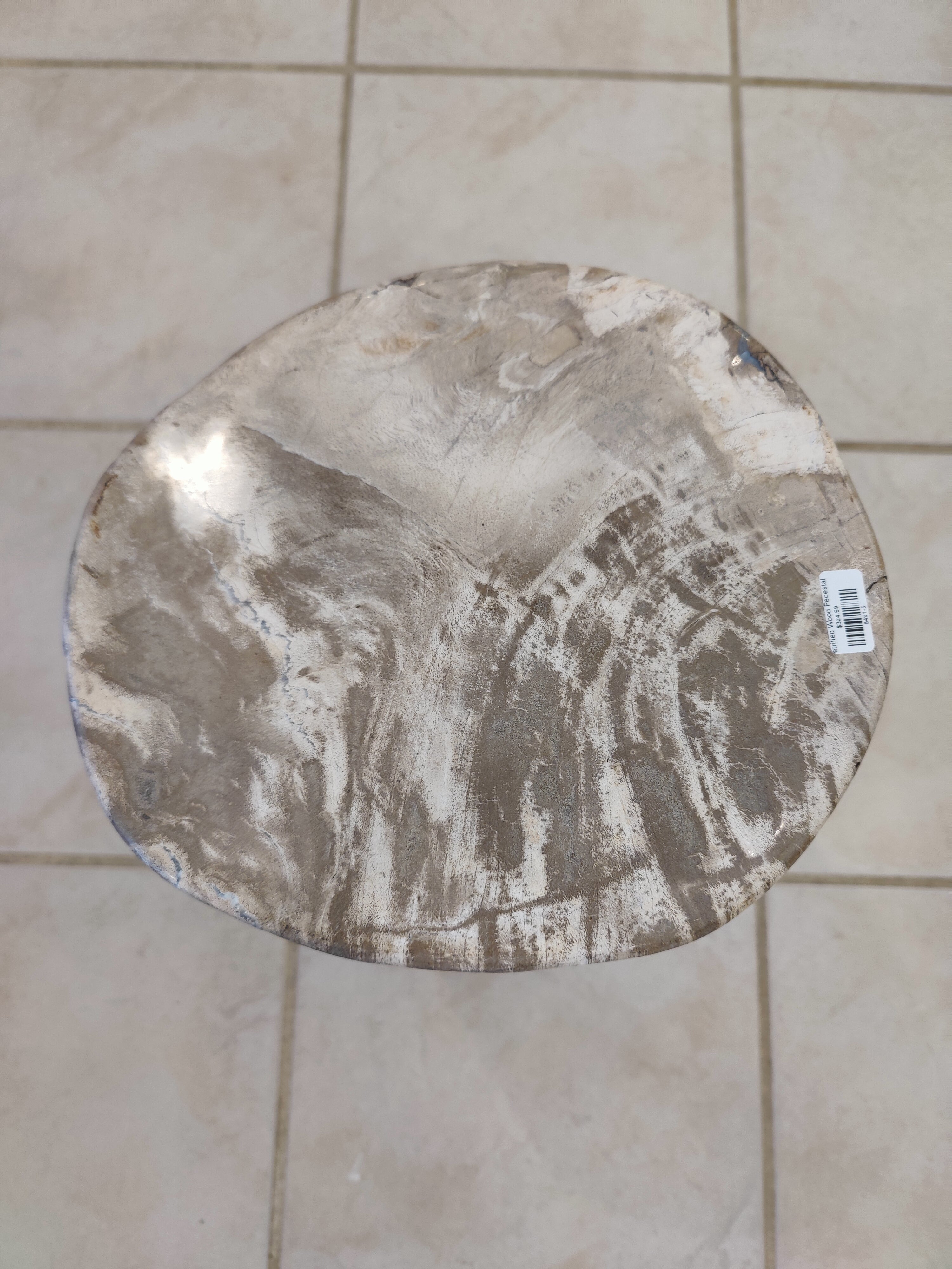 Petrified Wood Pedestal by Rare Earth Gallery