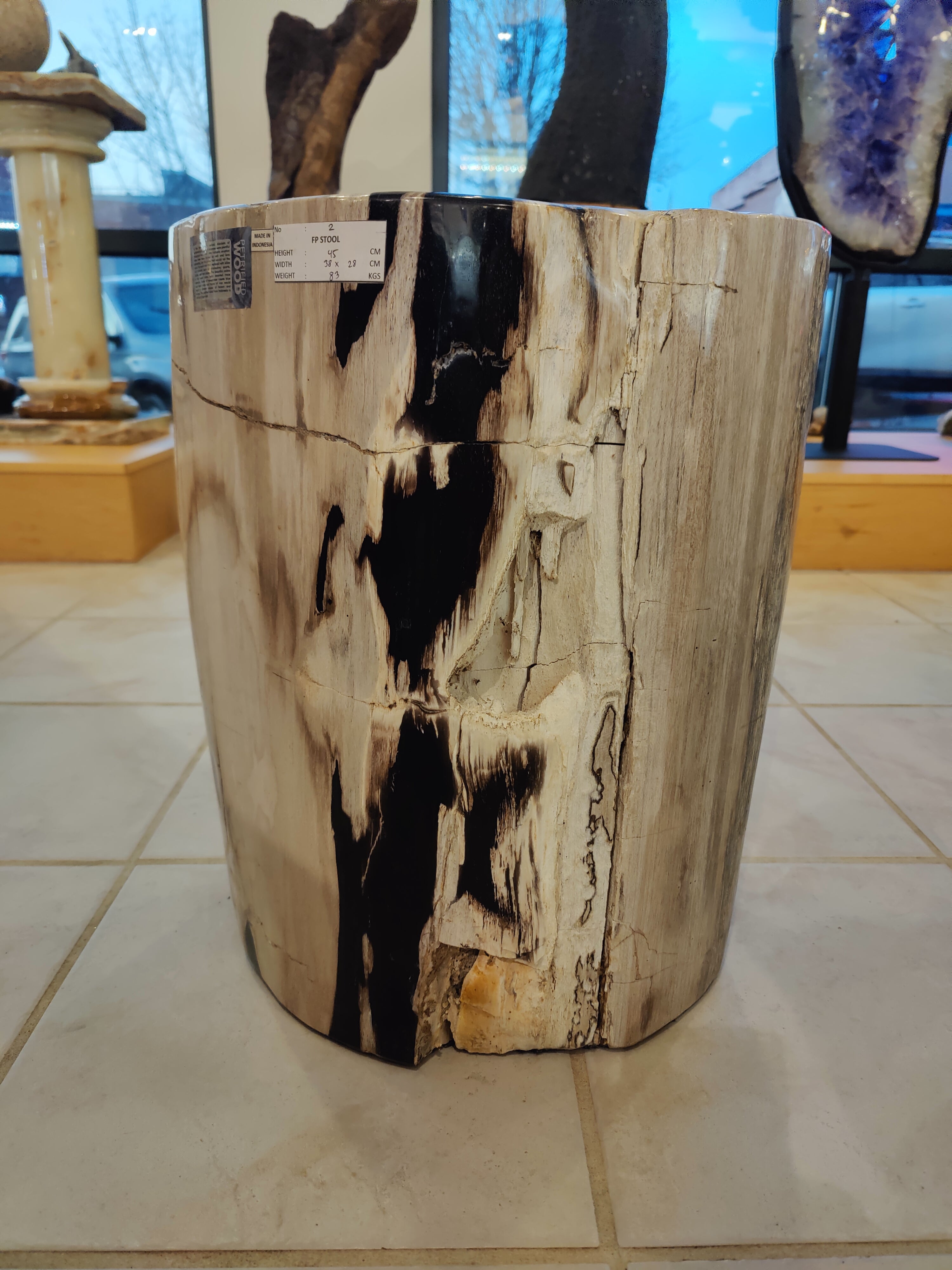 Petrified Wood Pedestal by Rare Earth Gallery