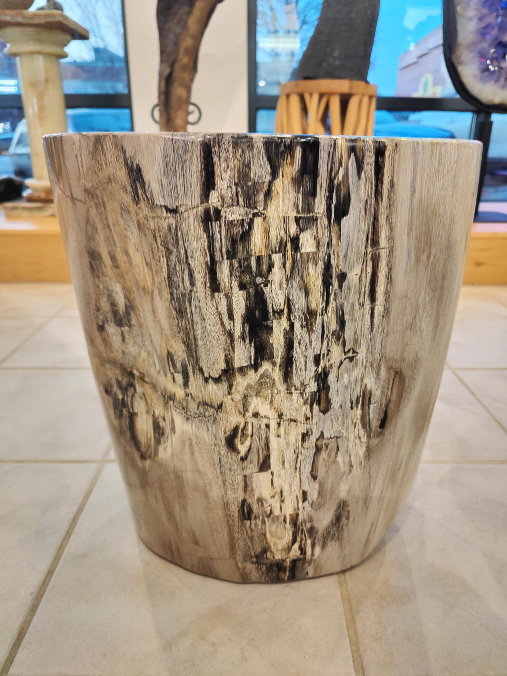 Petrified Wood Pedestal by Rare Earth Gallery