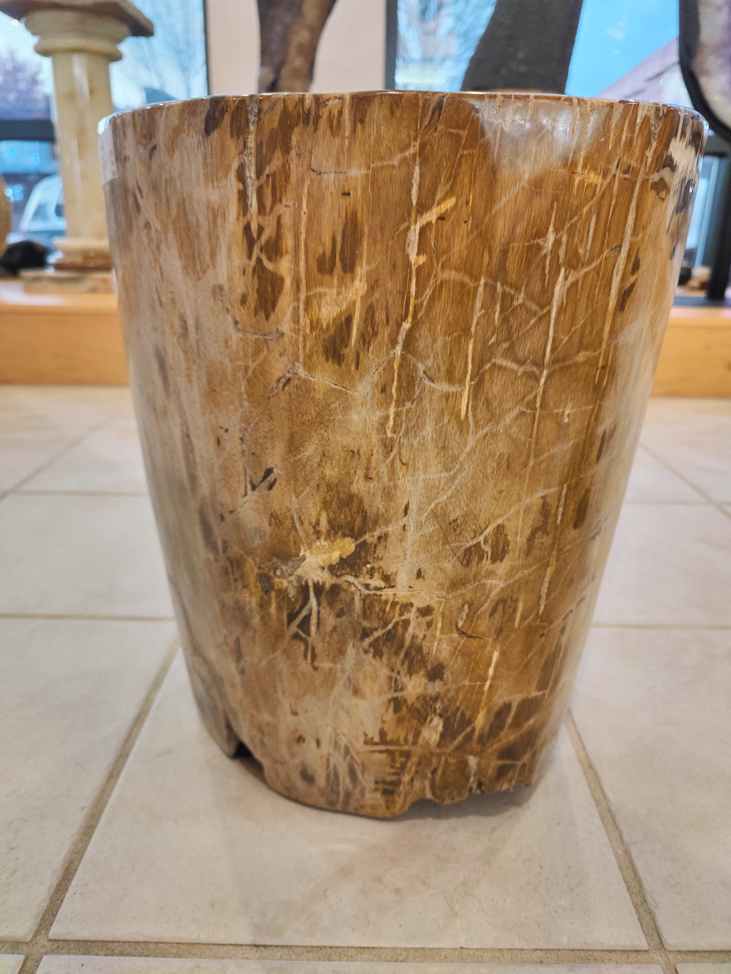 Petrified Wood Pedestal by Rare Earth Gallery